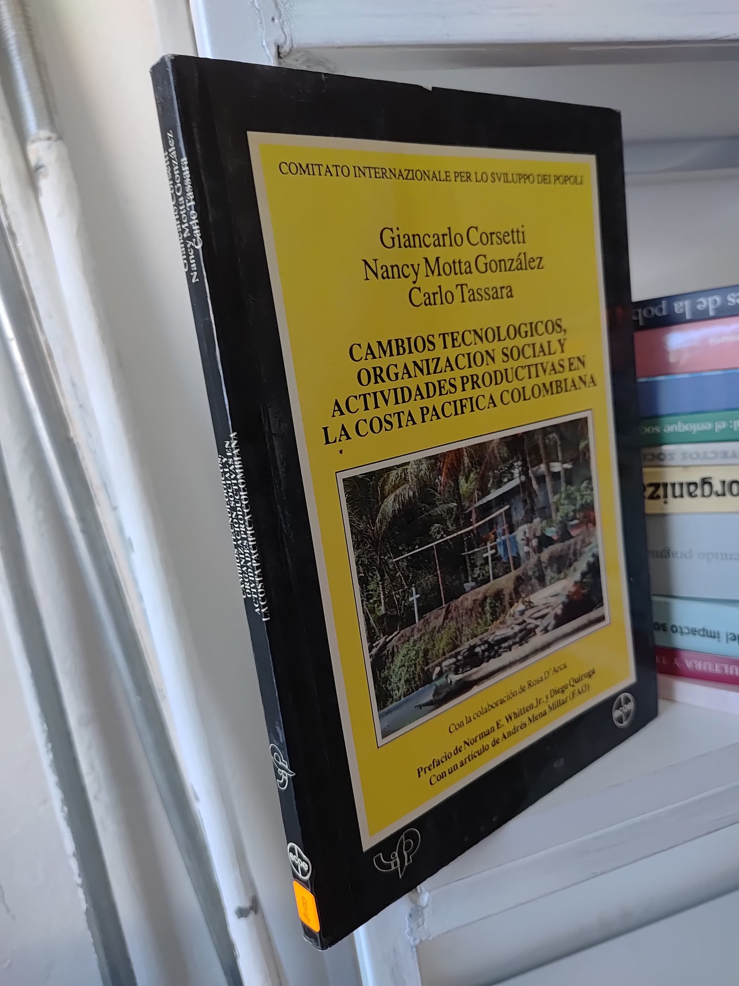 CAMBIOS TECNOLOGICOS ORGANIZACION SOCIAL Y ACTIVIDADES REPRODUCTIVAS EN LA COSTA PACIFICA COLOMBIANA POR VARIOS AUTORES USADO SOCIOLOGIA JUAREZ 515