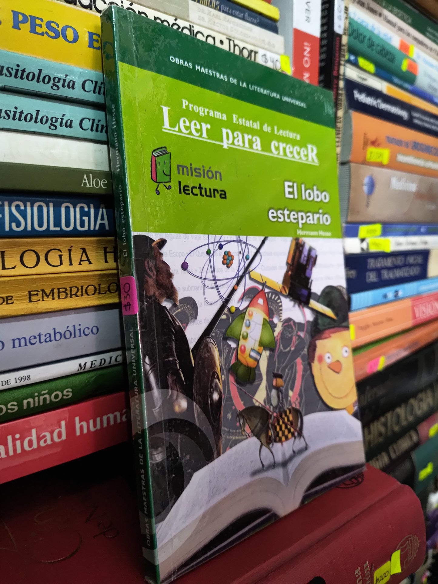 OBRAS MAESTRAS DE LA LITERATURA UNIVERSAL EL LOBO ESTEPARIO POR HERMAN HESSE USADO NOVELAS LITERARIO 305