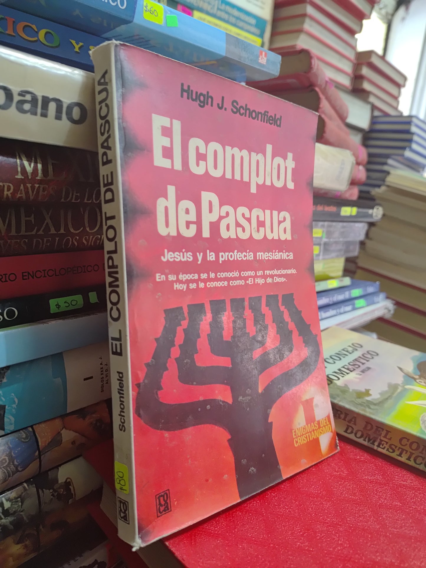EL COMPLOT DE PASCUA POR HUGH J. SCHONFIELD USADO NOVELAS JUAREZ 507