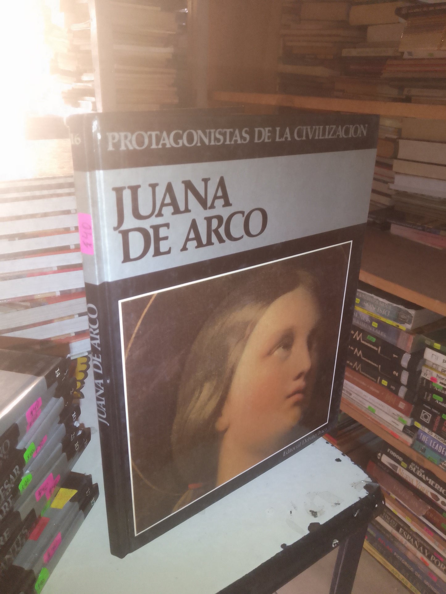 JUANA DE ARCO (VARIOS AUTORES) USADO HISTORIA LITERARIO 207