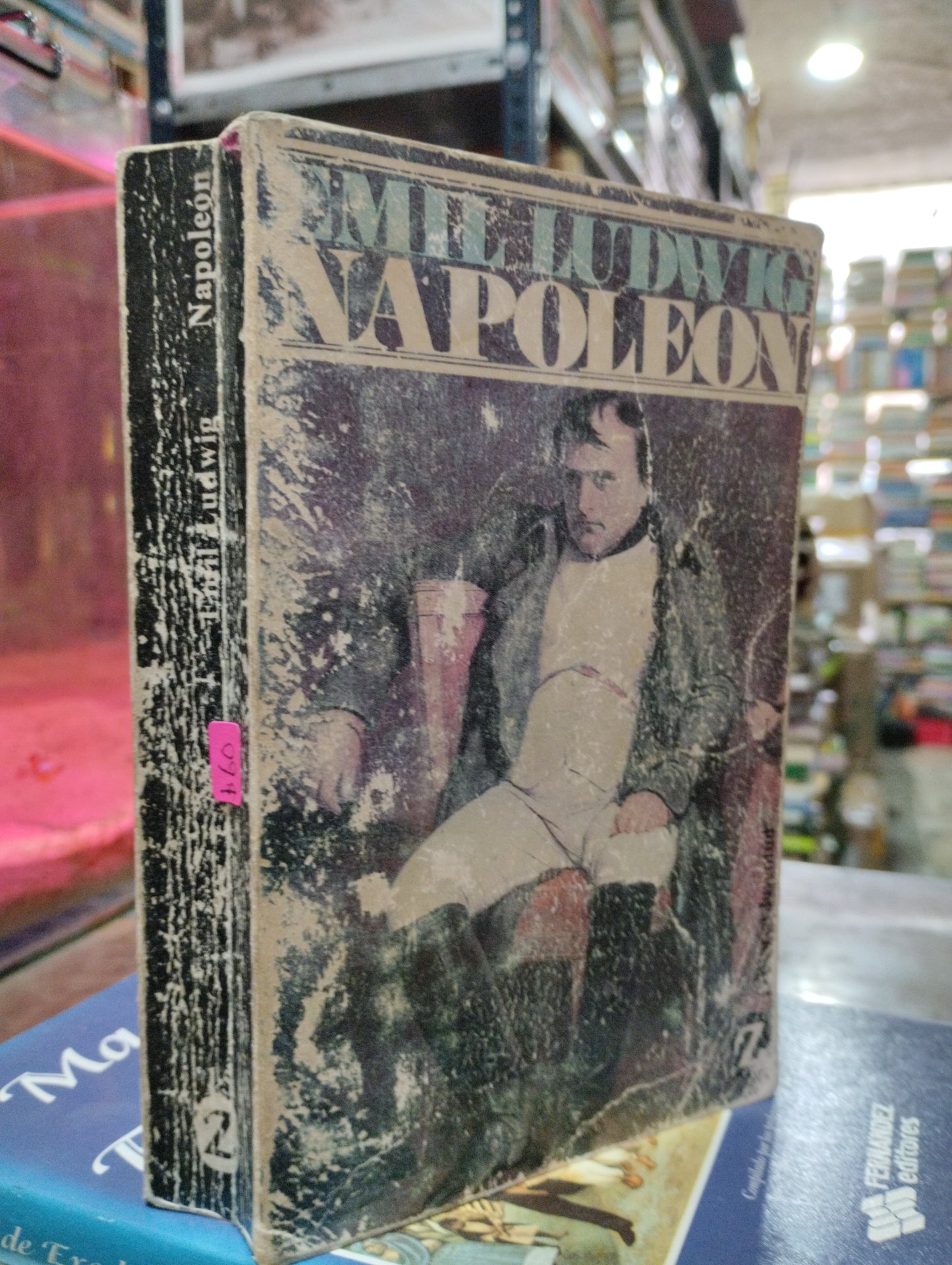 NAPOLEON POR EMIL LUDWING USADO HISTORIA ALDAMA