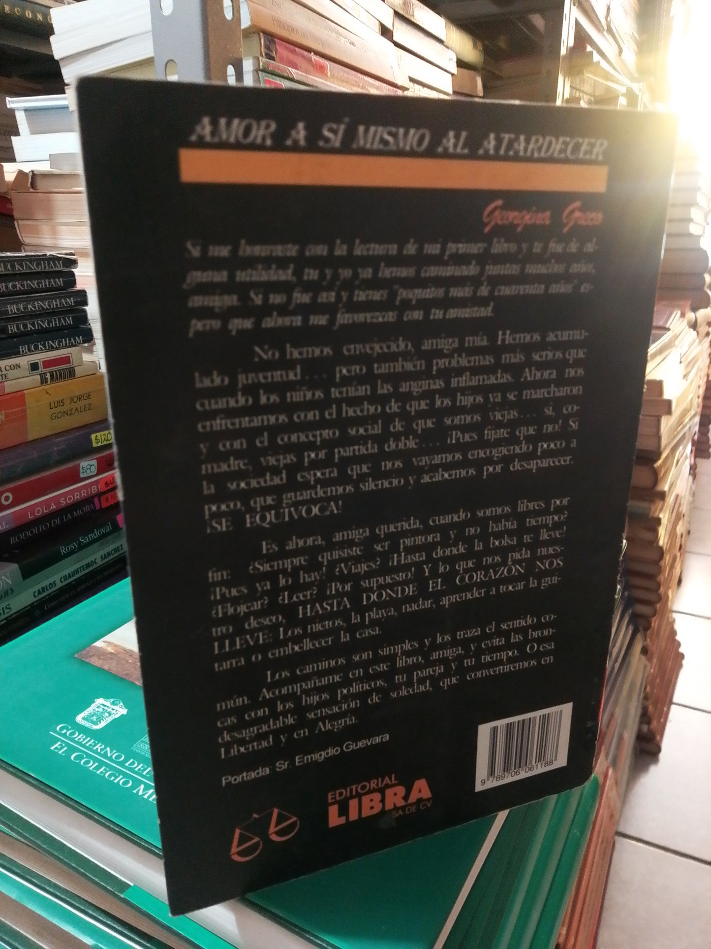 AMOR ASÍ MISMO AL ATARDECER DESPUÉS DE LOS 40 AÑOS POR GEORGINA GRECO USADO SUP.PERSONAL JUÁREZ