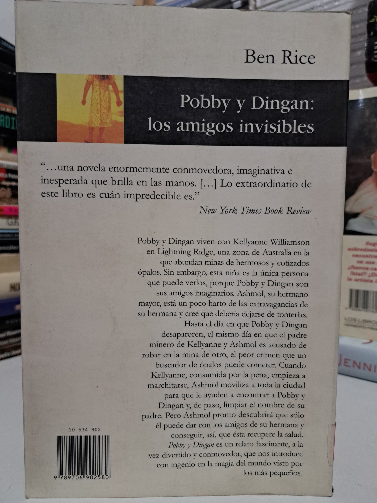 POBBY Y DINGAN: LOS AMIGOS INVISIBLES BEN RICE USADO NOVELA JUÁREZ