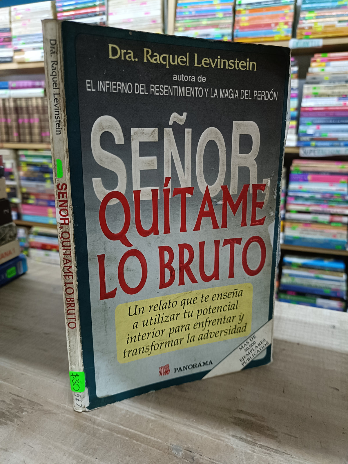 SEÑOR QUITAME LO BRUTO POR DRA RAQUEL LEVINSTEIN USADO SUPERACION PERSONAL LITERARIO 207