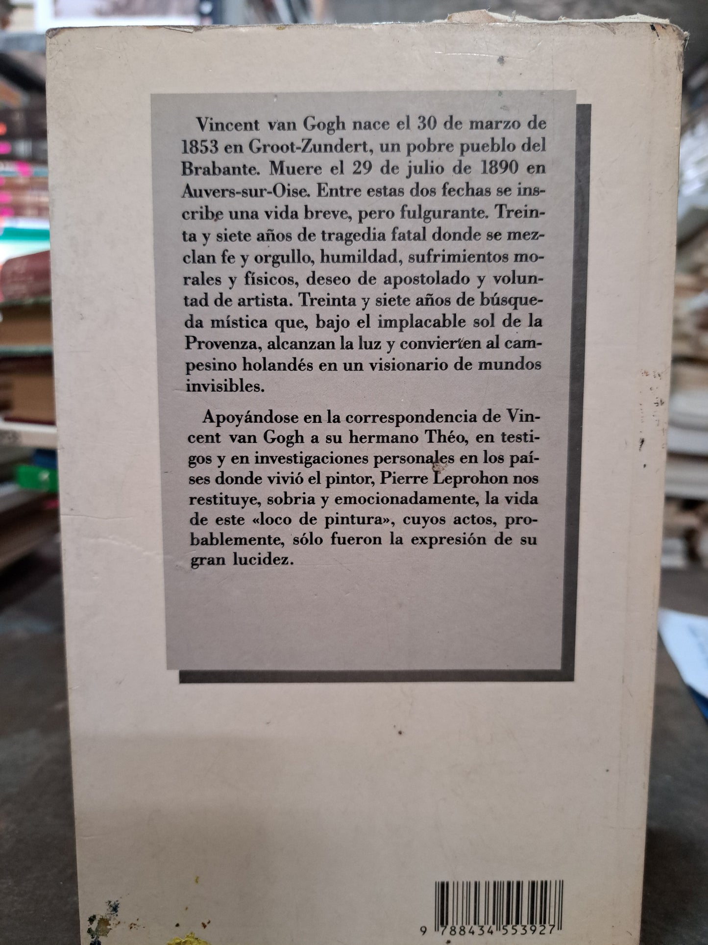 VAN GOGH BIOGRAFÍA PIERRE LEPROHON USADO ARTE ALDAMA
