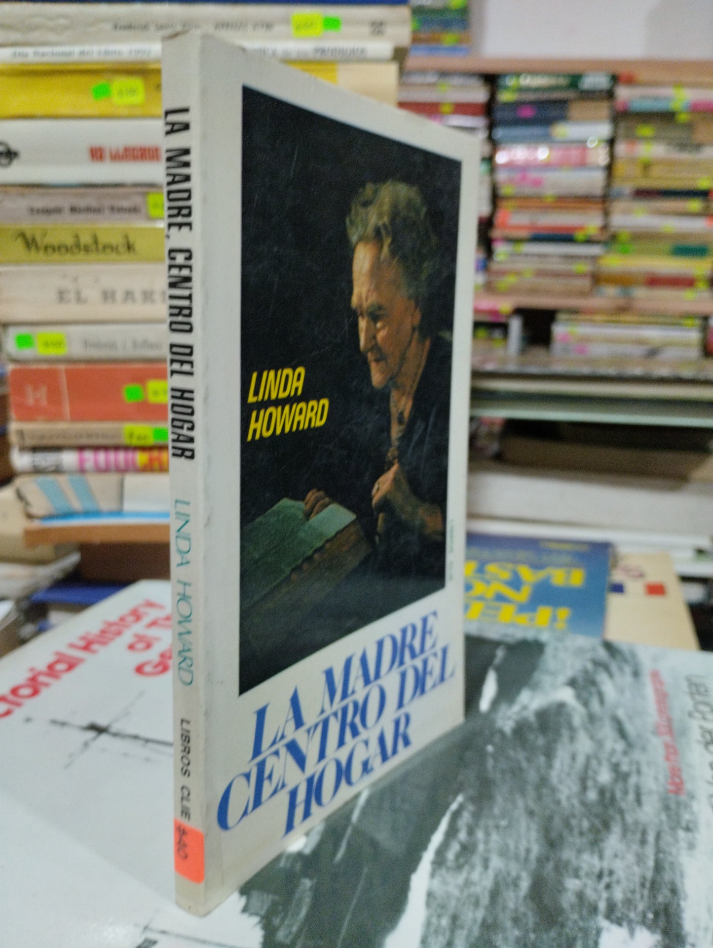 LA MADRE CENTRO DEL HOGAR POR LINDA HOWARD USADO NOVELAS ALDAMA
