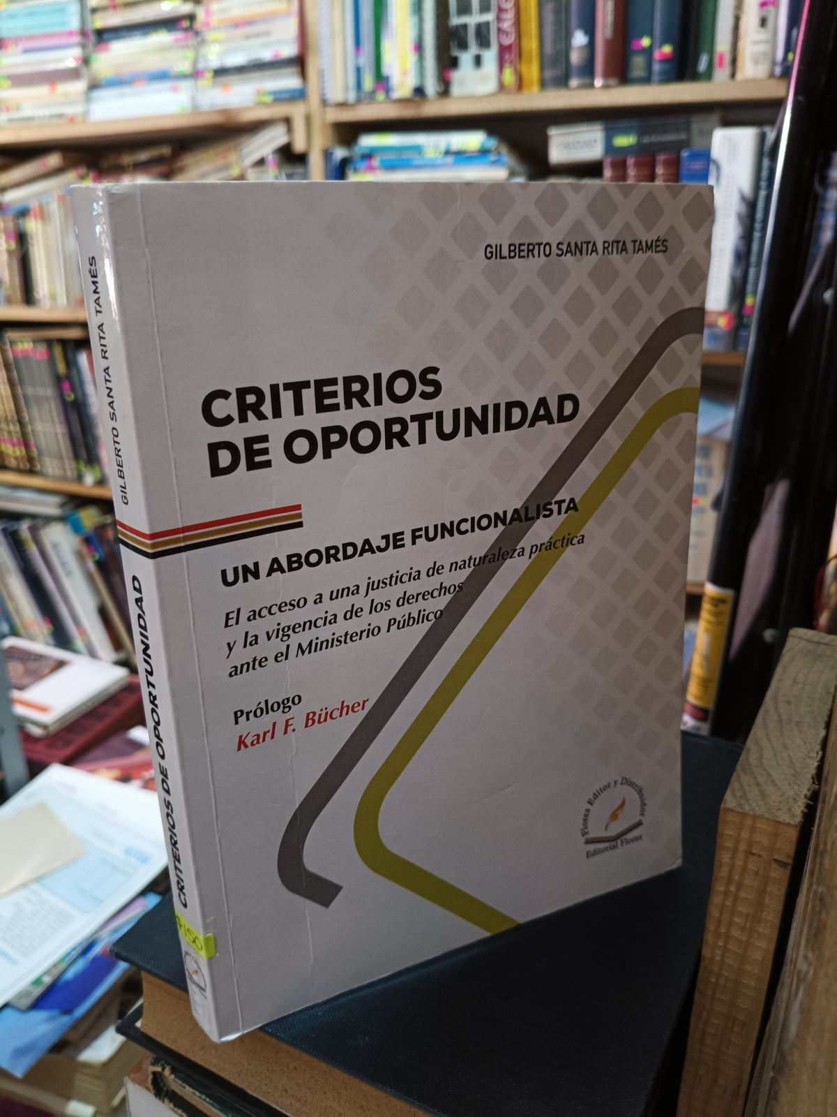 CRITERIOS DE OPORTUNIDAD UN ABORDAJE FUNCIONALISTA GILBERTO SANTA RITA TAMES USADO DERECHO LITERARIO 305