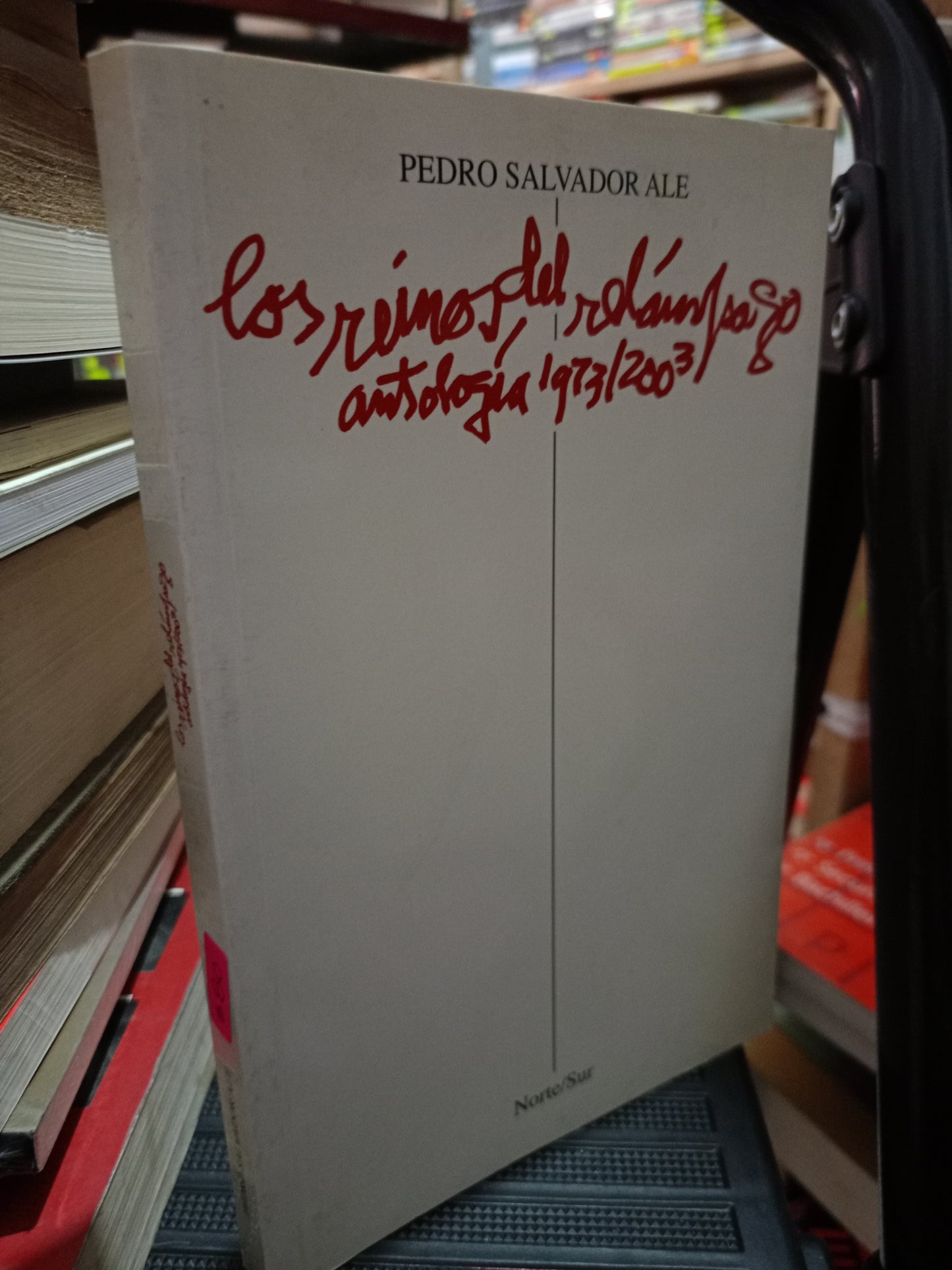 LOS REINOS DEL RELAMPAGO POR PEDRO SALVADOR ALE USADO NOVELA LITERARIO 305
