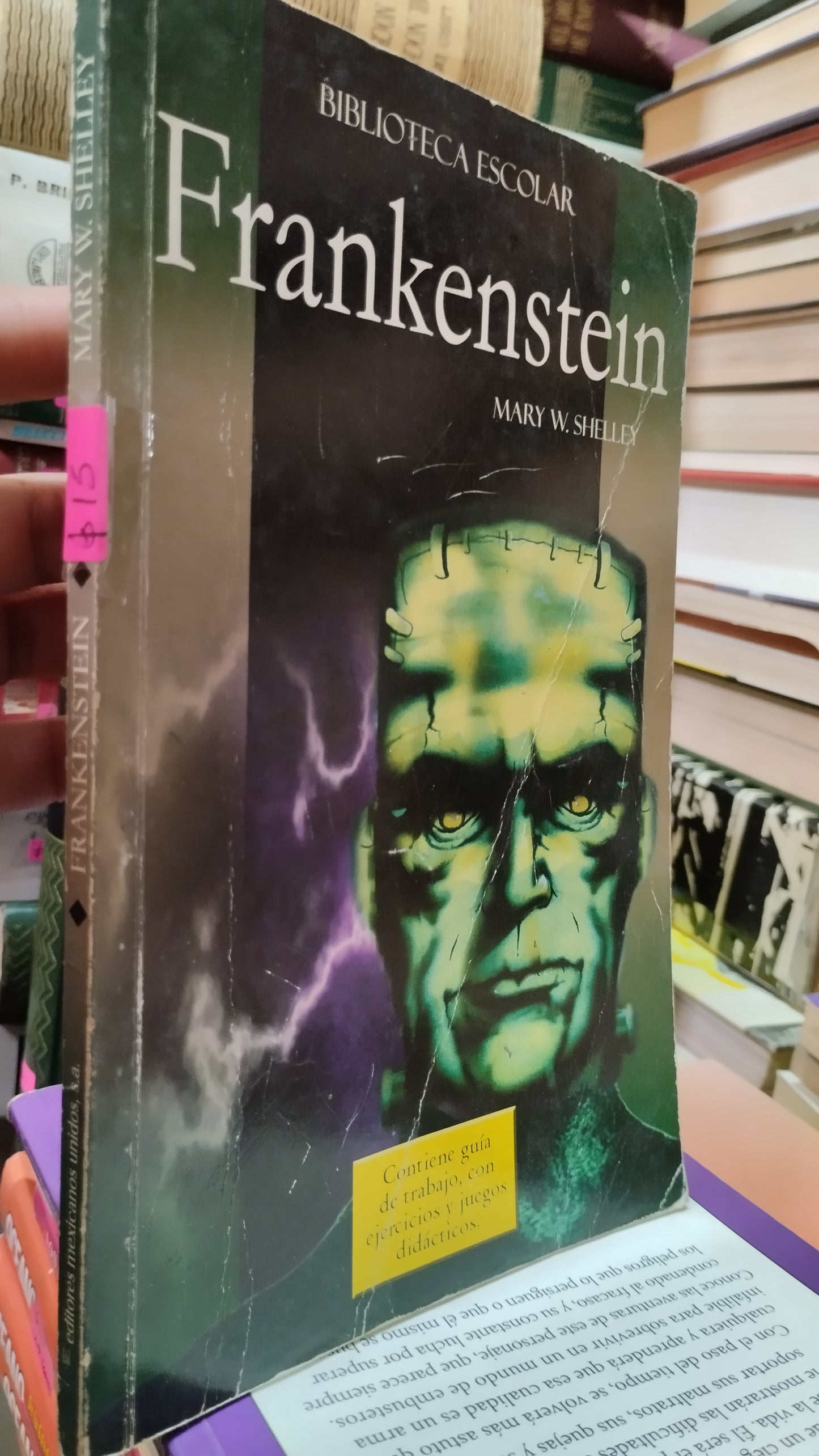 KRANKENSTEIN POR MARY W SHELLEY LIBRO USADO INFANTIL ALDAMA