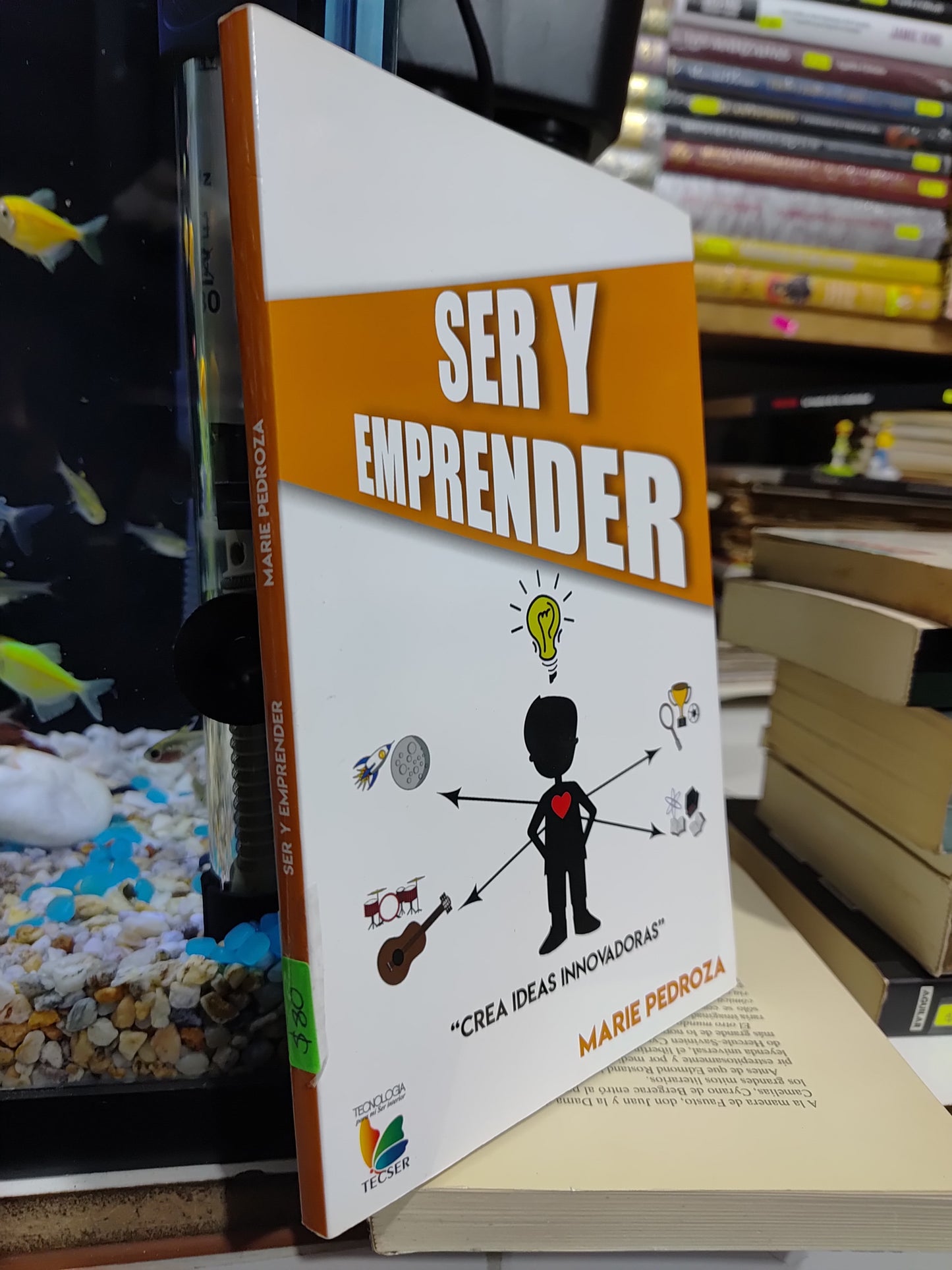 SER Y APRENDER POR MARIE PEDROZA USADO SUP PERSONAL JUAREZ