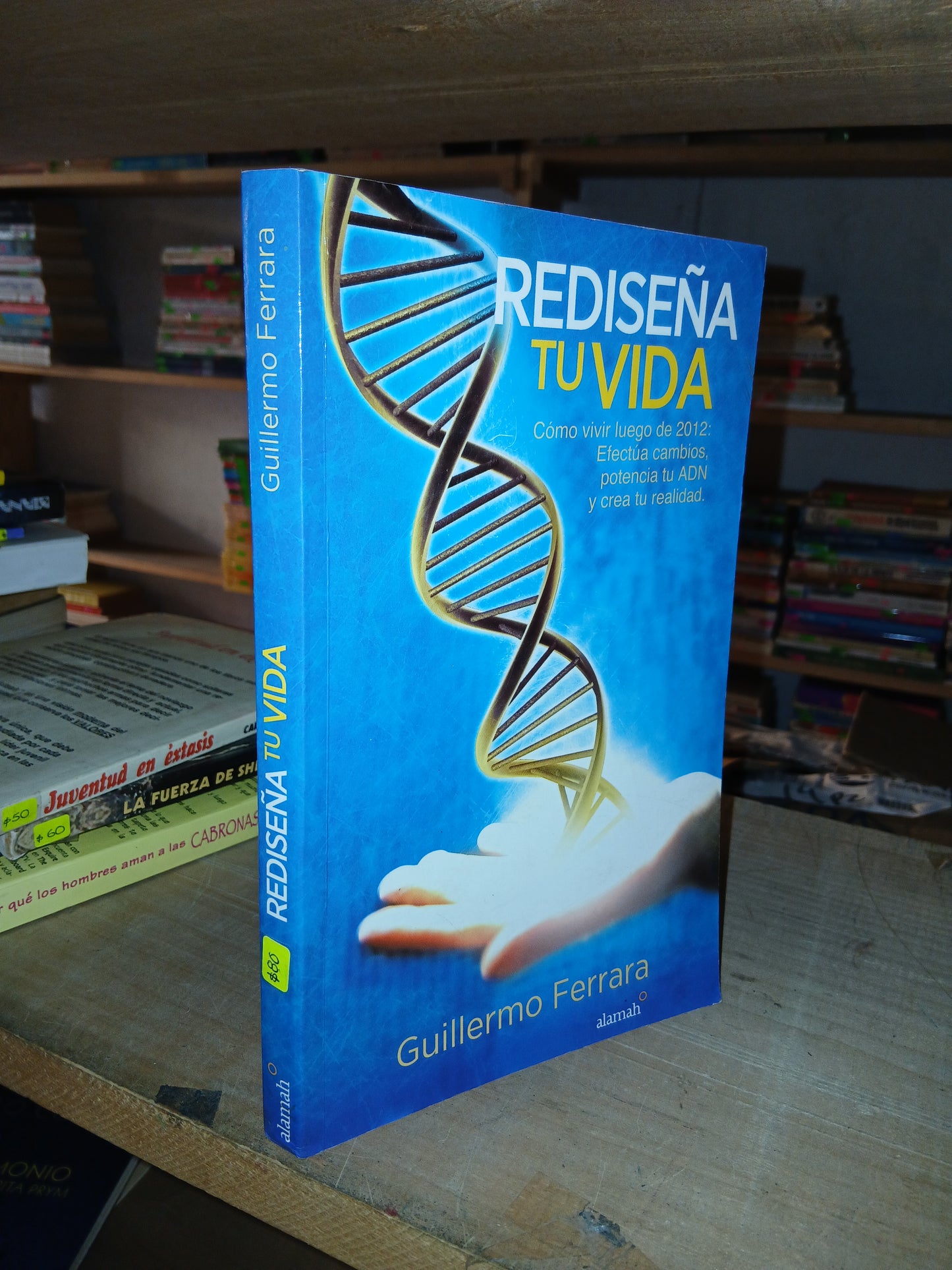 REDISEÑA TU VIDA POR GUILLERMO FERRARA USADO SUPERACIÓN PERSONAL LITERARIO 207