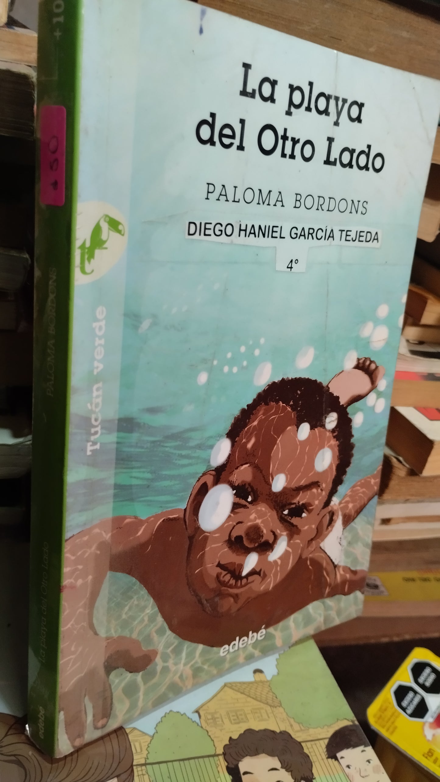 LA PLAYA DEL OTRO LADO POR PALOMA BORDONS LIBRO USADO INFANTIL ALDAMA