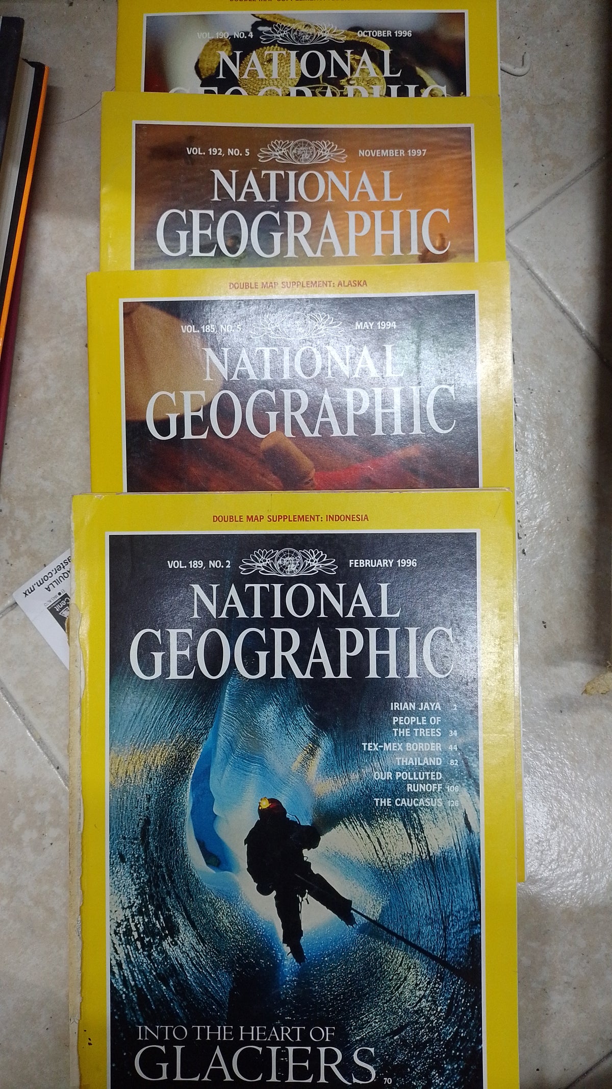 REVISTAS NATIONAL GEOGRAPHIC USADO INFANTIL JUAREZ 515