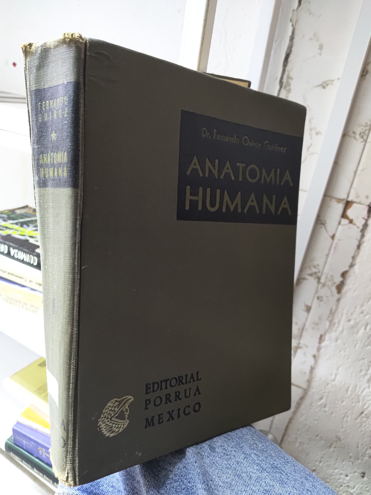 ANATOMIA HUMANA POR FERNANDO QUIROZ GUTIERREZ USASO SALUD JUAREZ 515