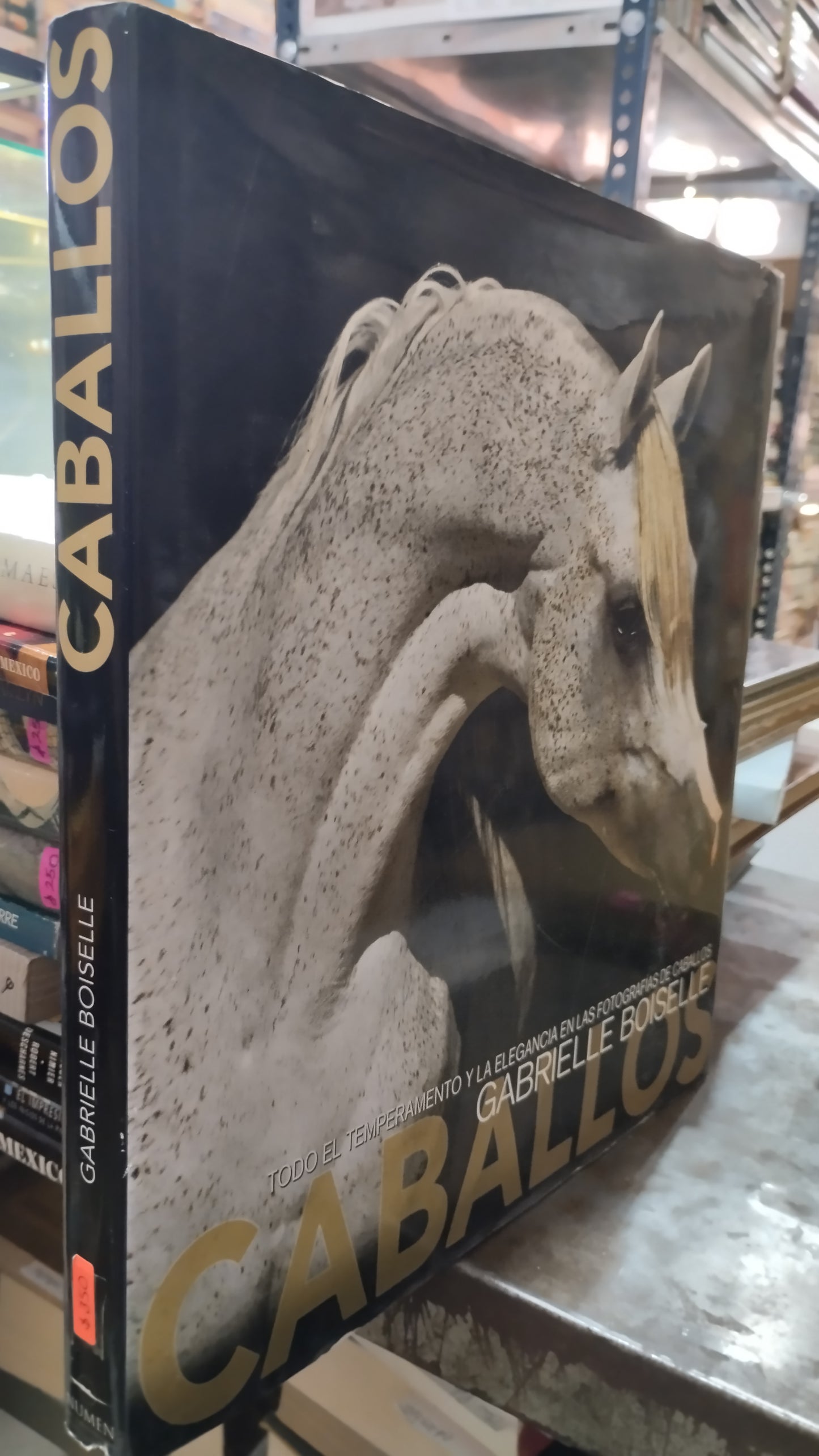 CABALLOS POR GABRIELLE BOISELLE LIBRO USADO ARTE ALDAMA