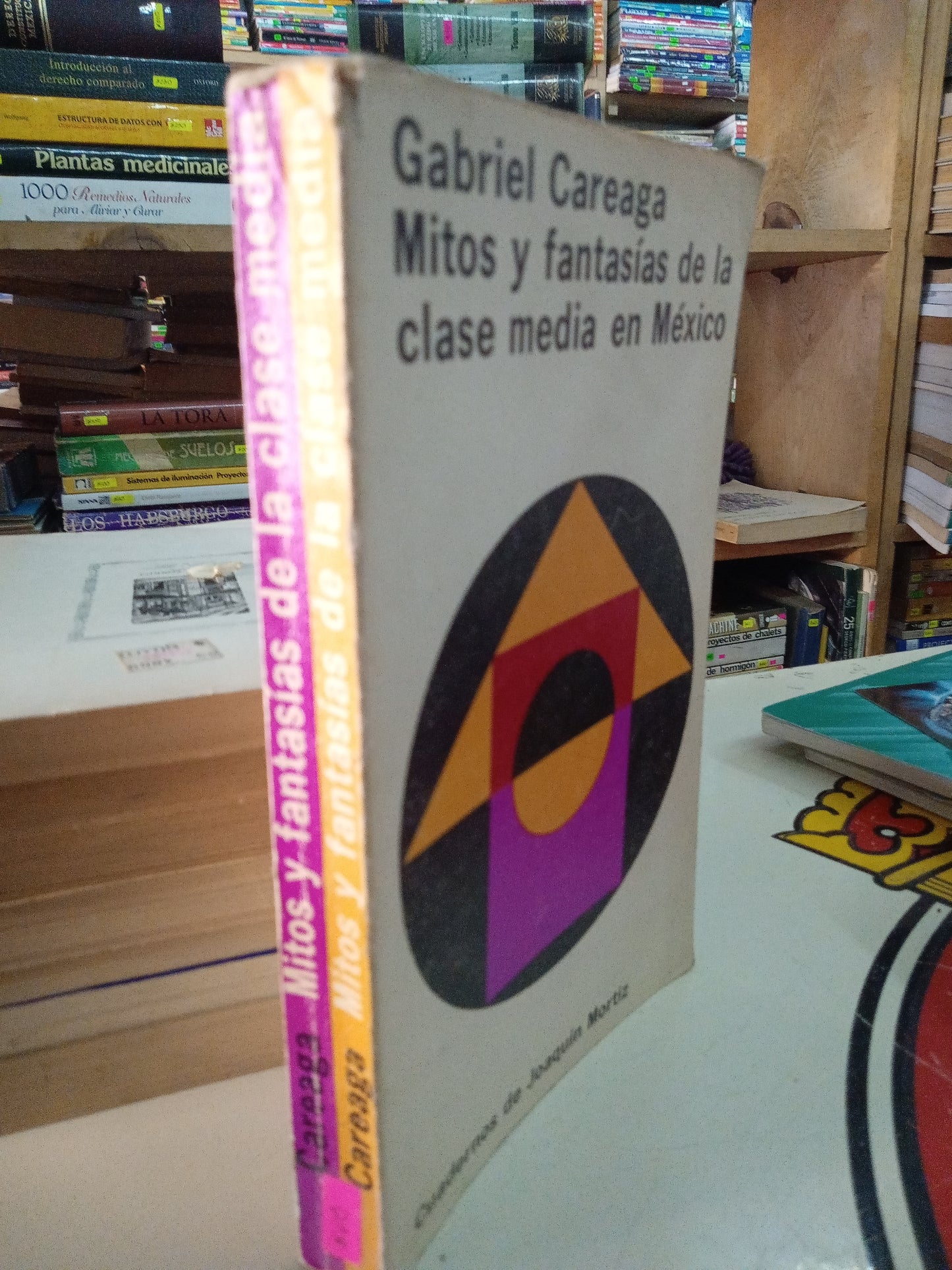 MITOS Y FANTASIAS DE LA CLASE MEDIA EN MÉXICO POR GABRIEL CAREAGA USADO HISTORIA LITERARIO 207