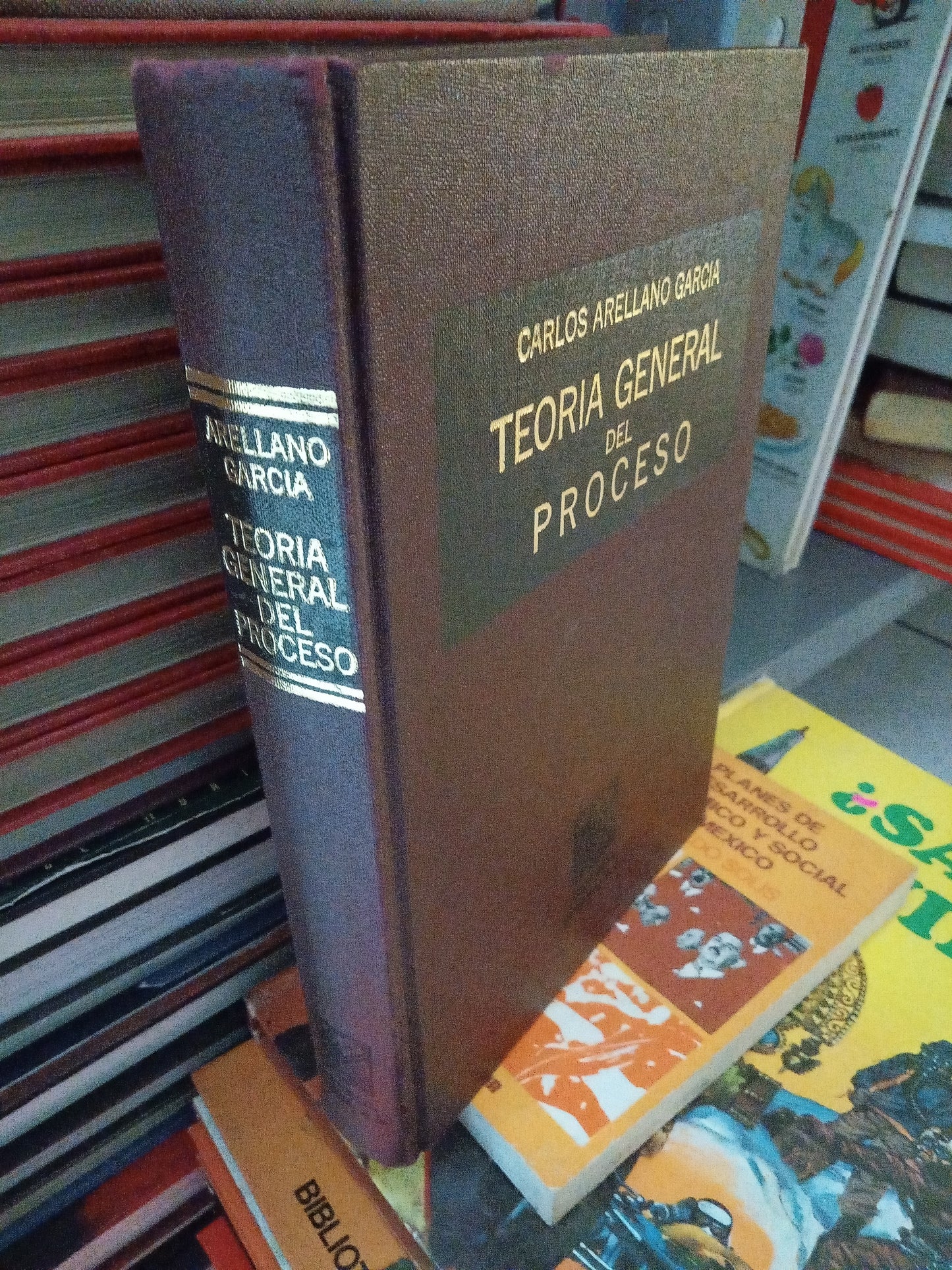 TEORIA GENERAL DEL PROCESO POR CARLOS ARELLANO GARCIA USADO DERECHO JUÁREZ