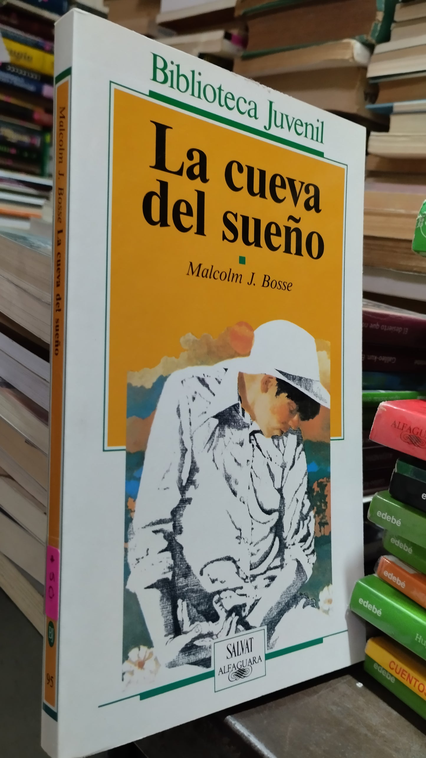 LA CUEVA DEL SUEÑO POR MALCOLM J BOSSE LIBRO USADO INFANTIL ALDAMA