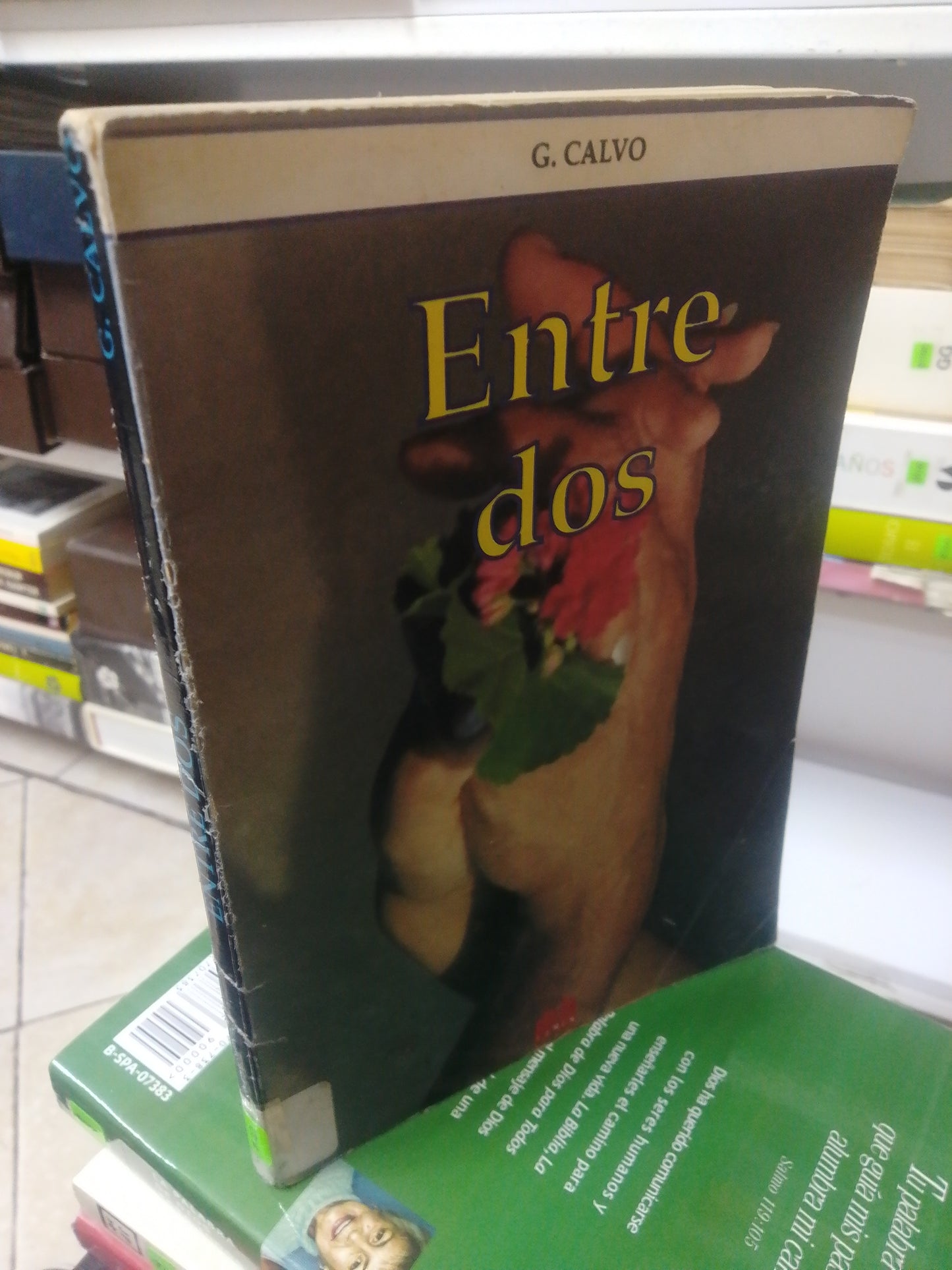ENTRE DOS, G. CALVO, USADO, RELIGION, JUAREZ 515