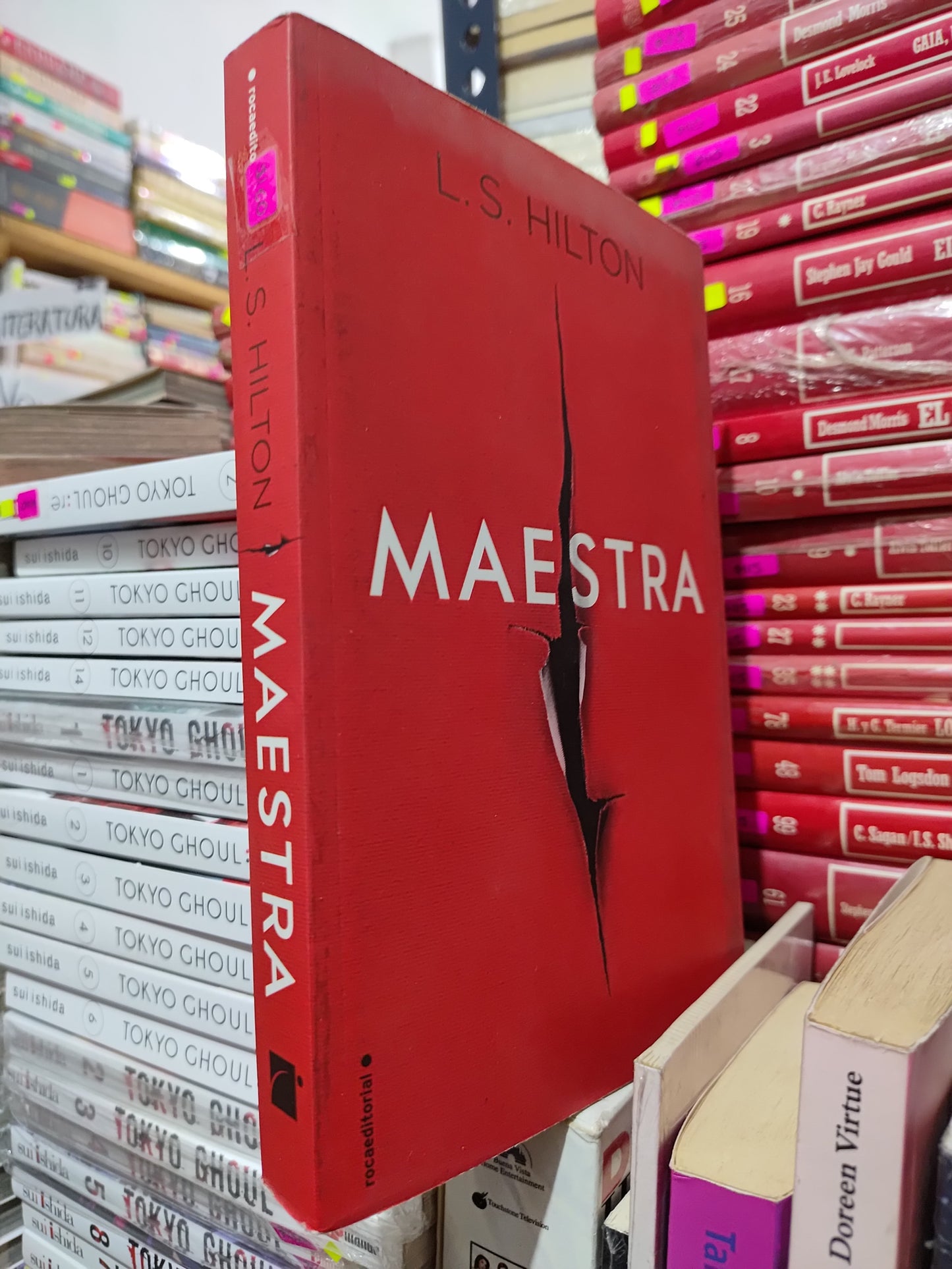 MAESTRA POR L. S. HILTON USADO NOVELAS LITERARIO 305