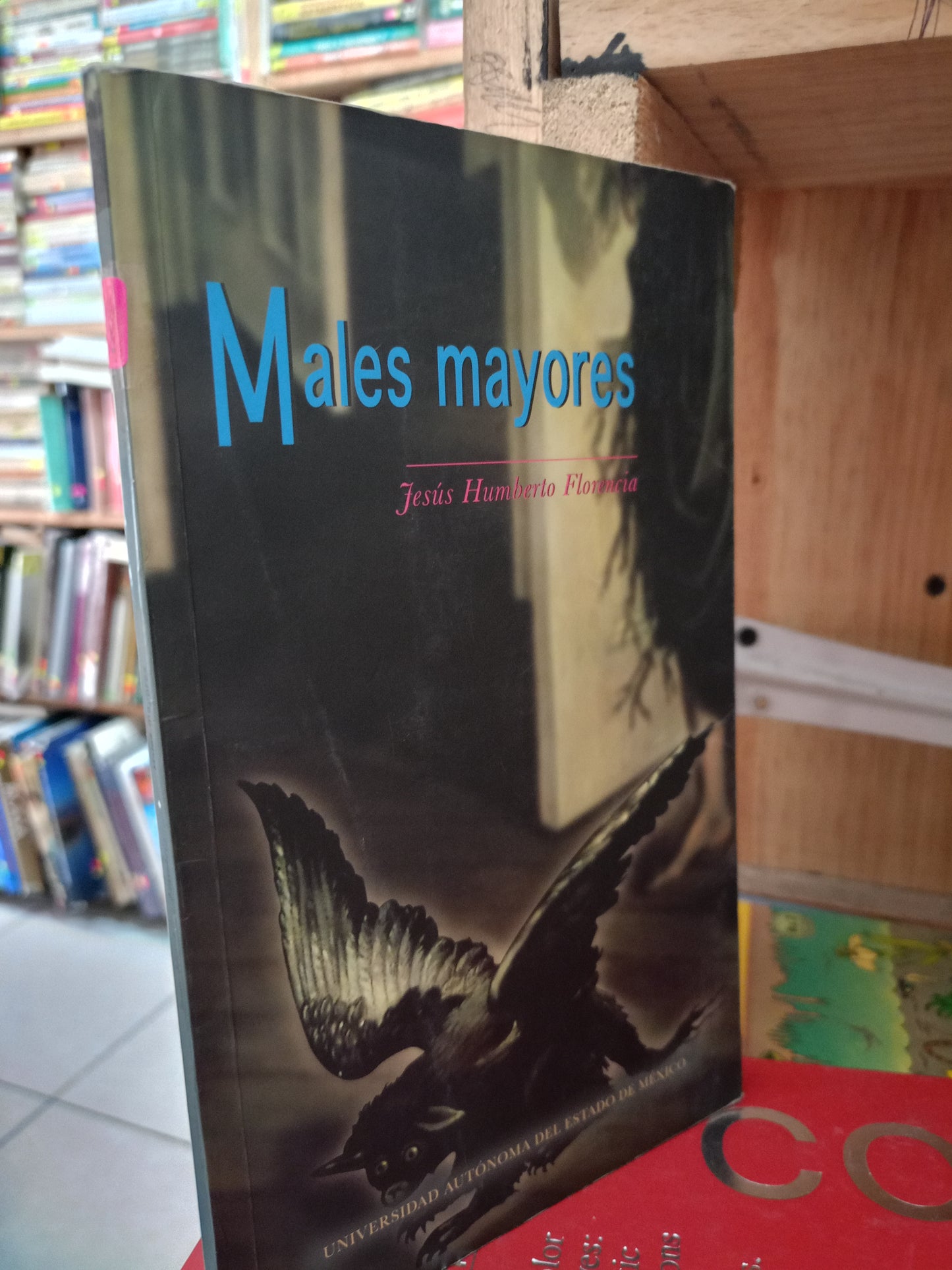 MALES MAYORES POR JESUS HUMBERTO FLORENCIA USADO NOVELA LITERARIO 305
