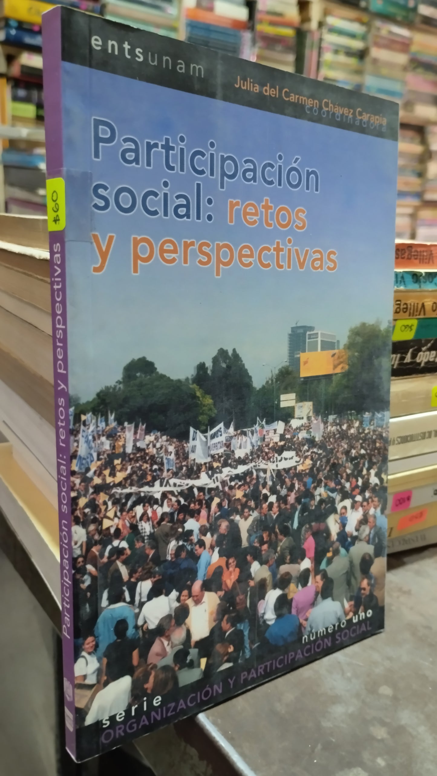 PARTICIPACION SOCIAL RETOS Y PERSPECTIVAS POR JULIA DEL CARMEN CHAVEZ CARAPIA LIBRO USADO POLITICA ALDAMA