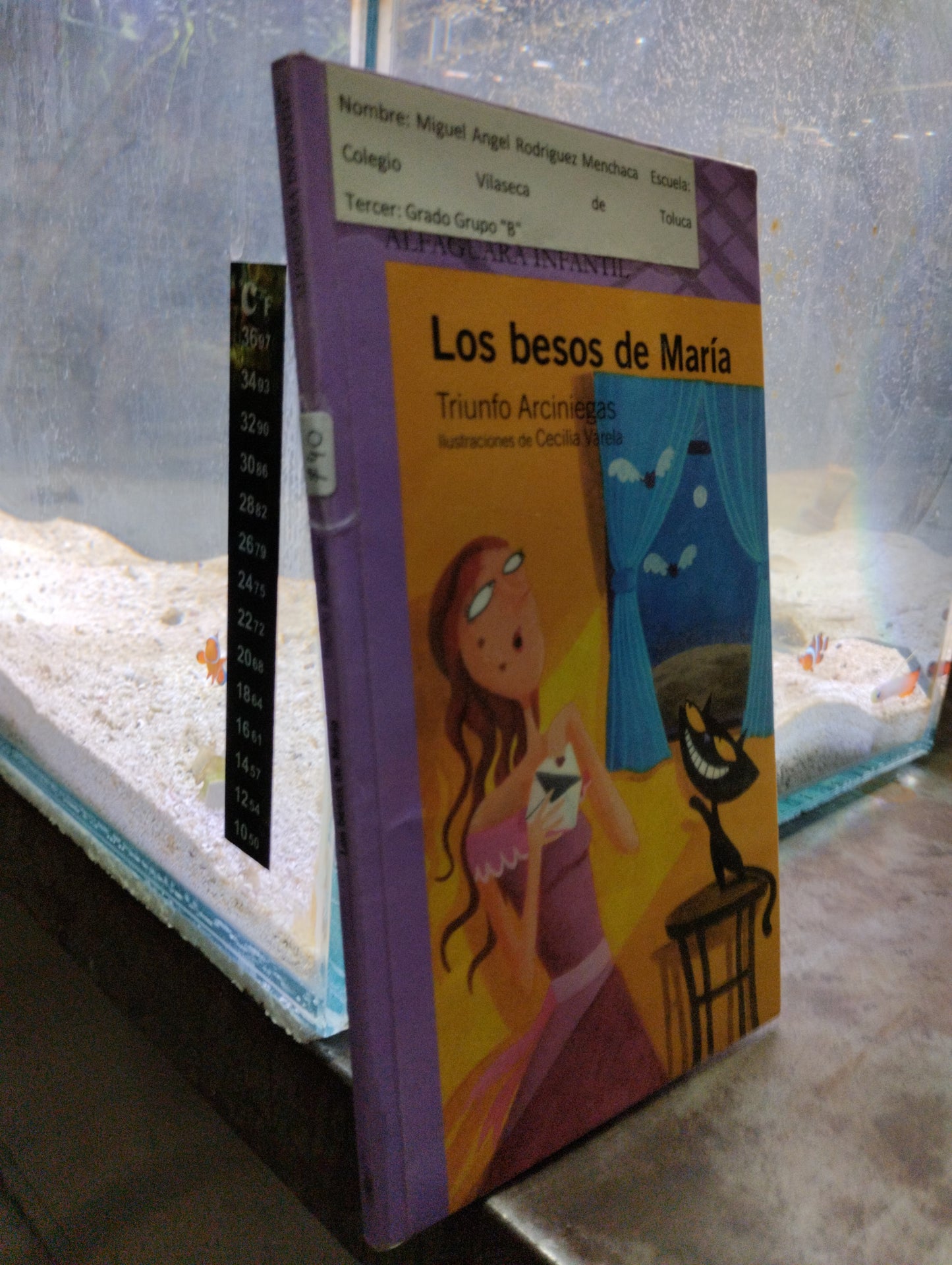 LOS BESOS DE MARIA USADOS INFANTIL ALDAMA