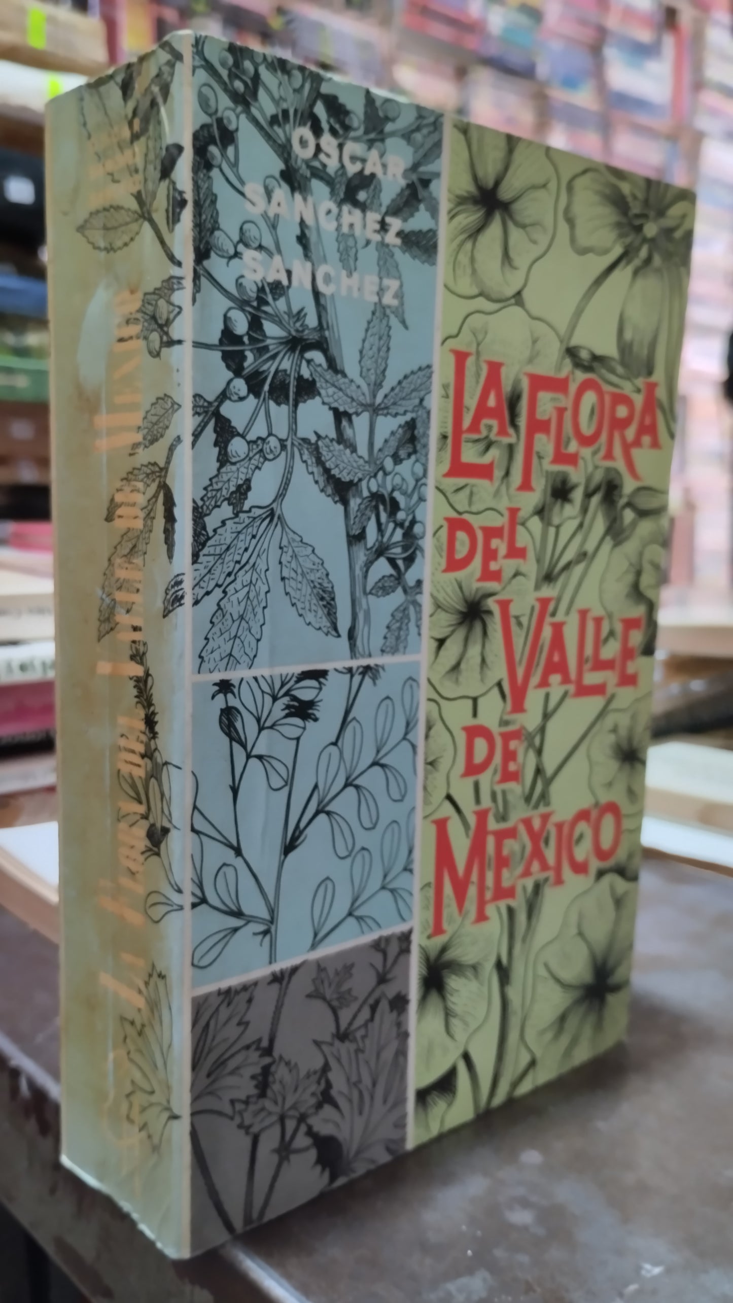 LA FLORA DEL VALLE DE MEXICO POR OSCAR SANCHEZ SANCHEZ LIBRO USADO AGRICULTURA ALDAMA