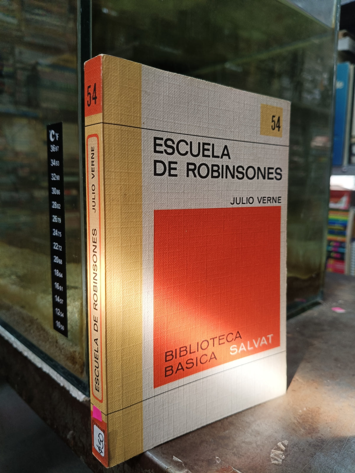 ESCUELA DE ROBINSONES POR JULIO VERNE USADO NOVELA ALDAMA