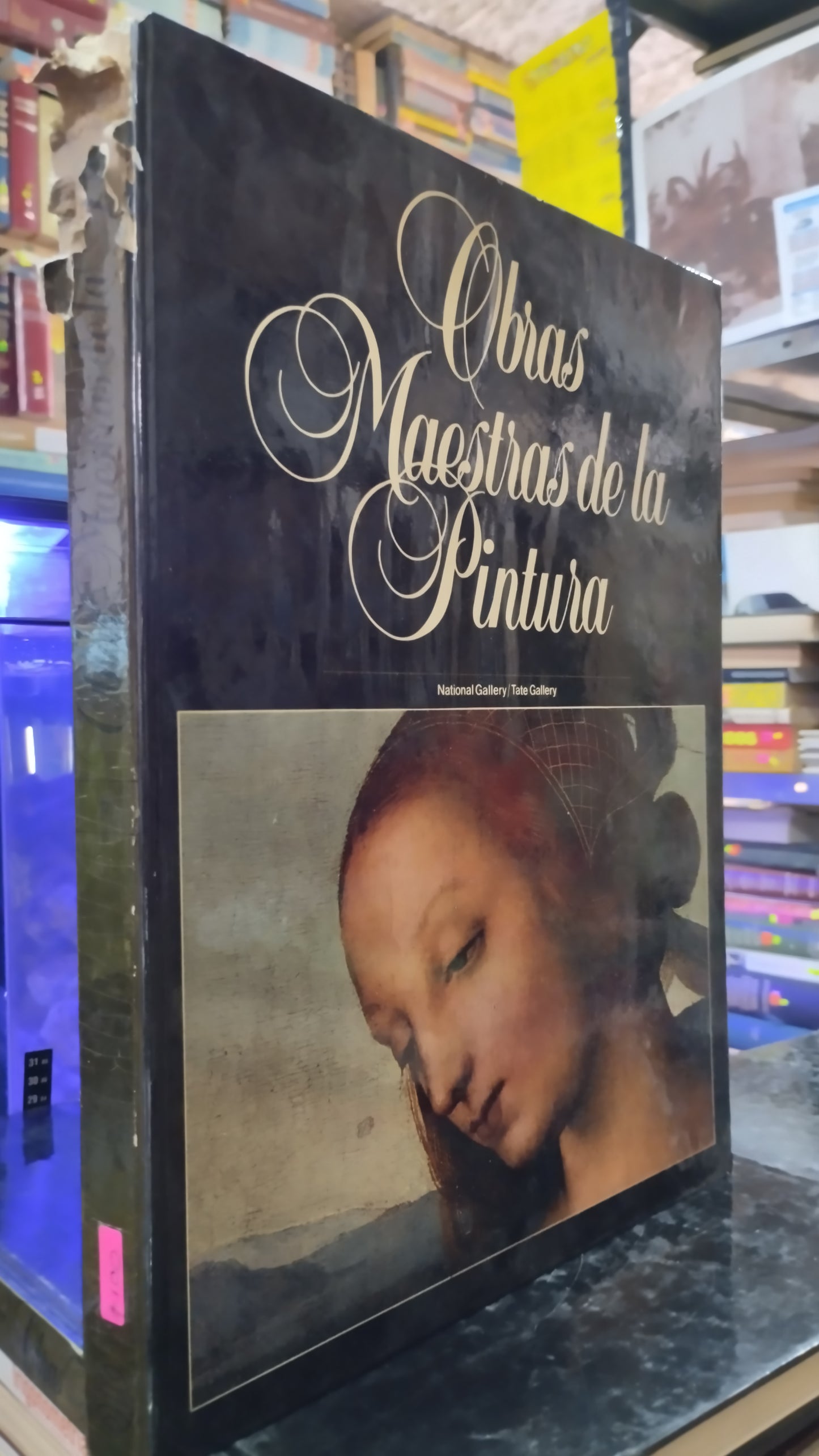 OBRAS MAESTRAS DE LA PINTURA 6 LIBRO USADO ARTE ALDAMA