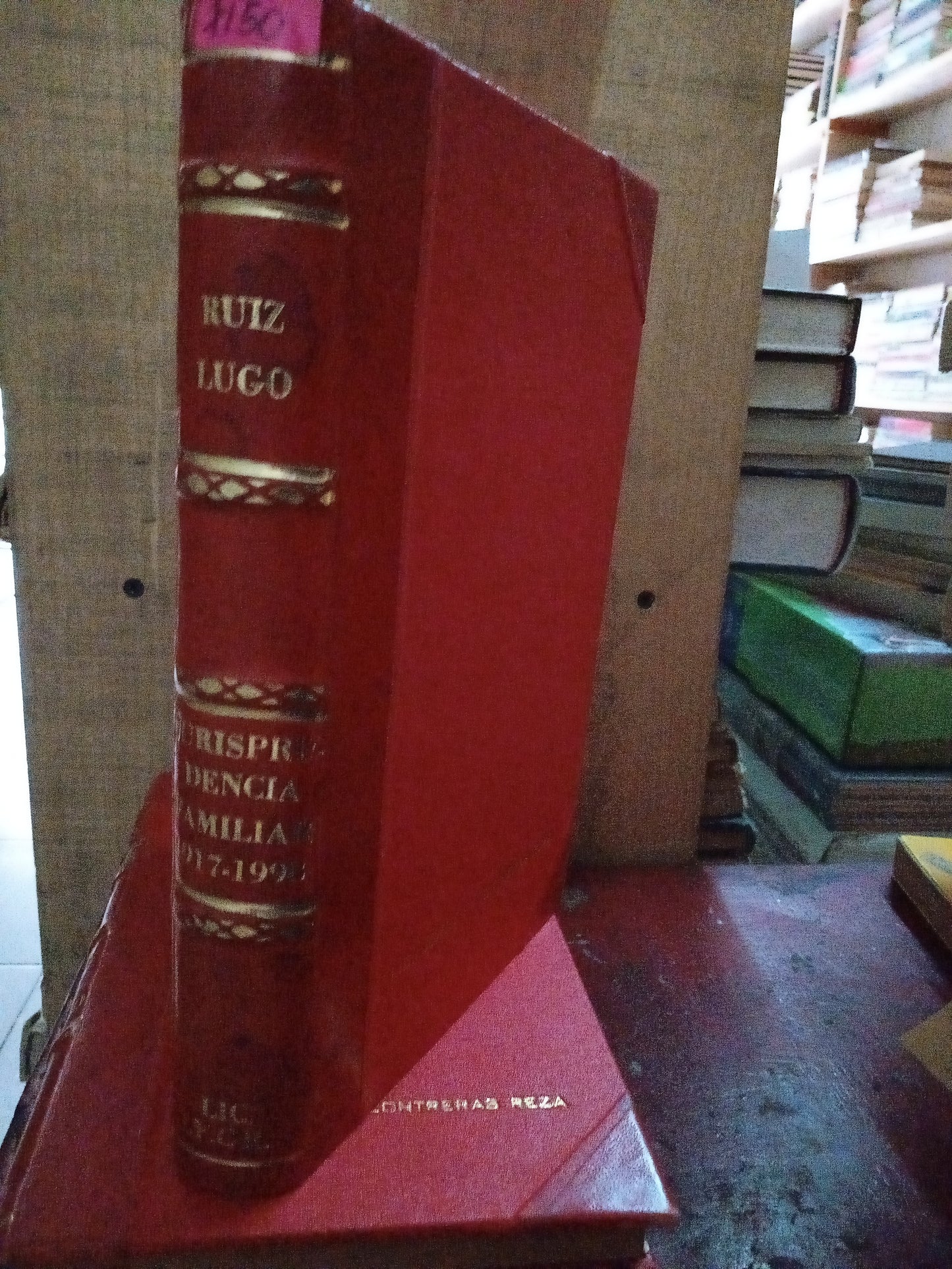JURISPRUDENCIA FAMILIAR POR ROGELIO ALFREDO RUIZ LUGO USADO DERECHO LITERARIO 207