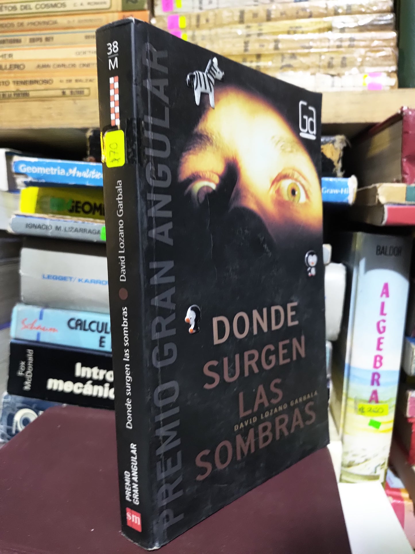 DONDE SURGEN LAS SOMBRAS POR DAVID LOZANO GARBALA USADO NOVELAS JUAREZ 507
