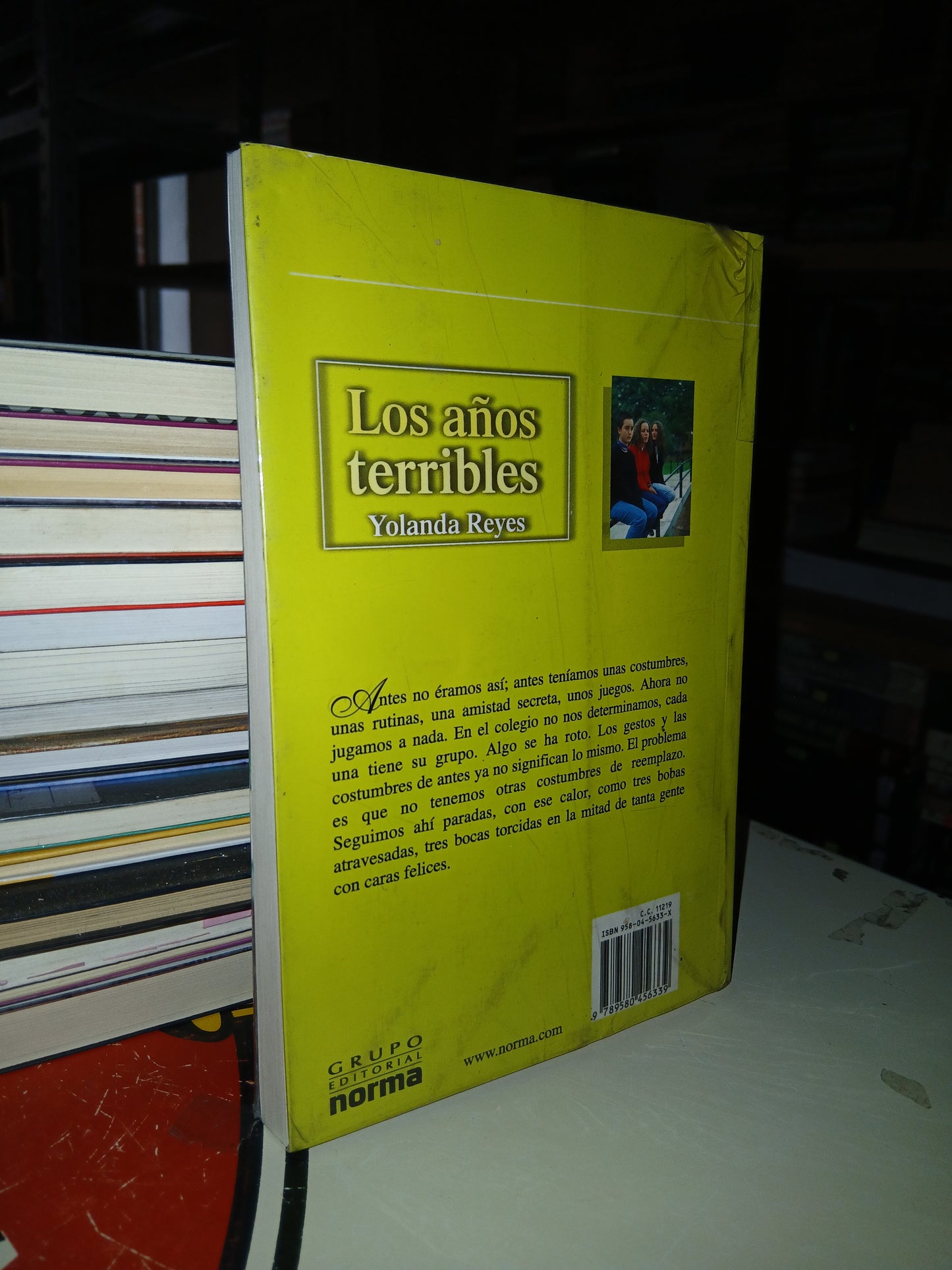LOS AÑOS TERRIBLES POR YOLANDA REYES USADO NOVELA LITERARIO 207