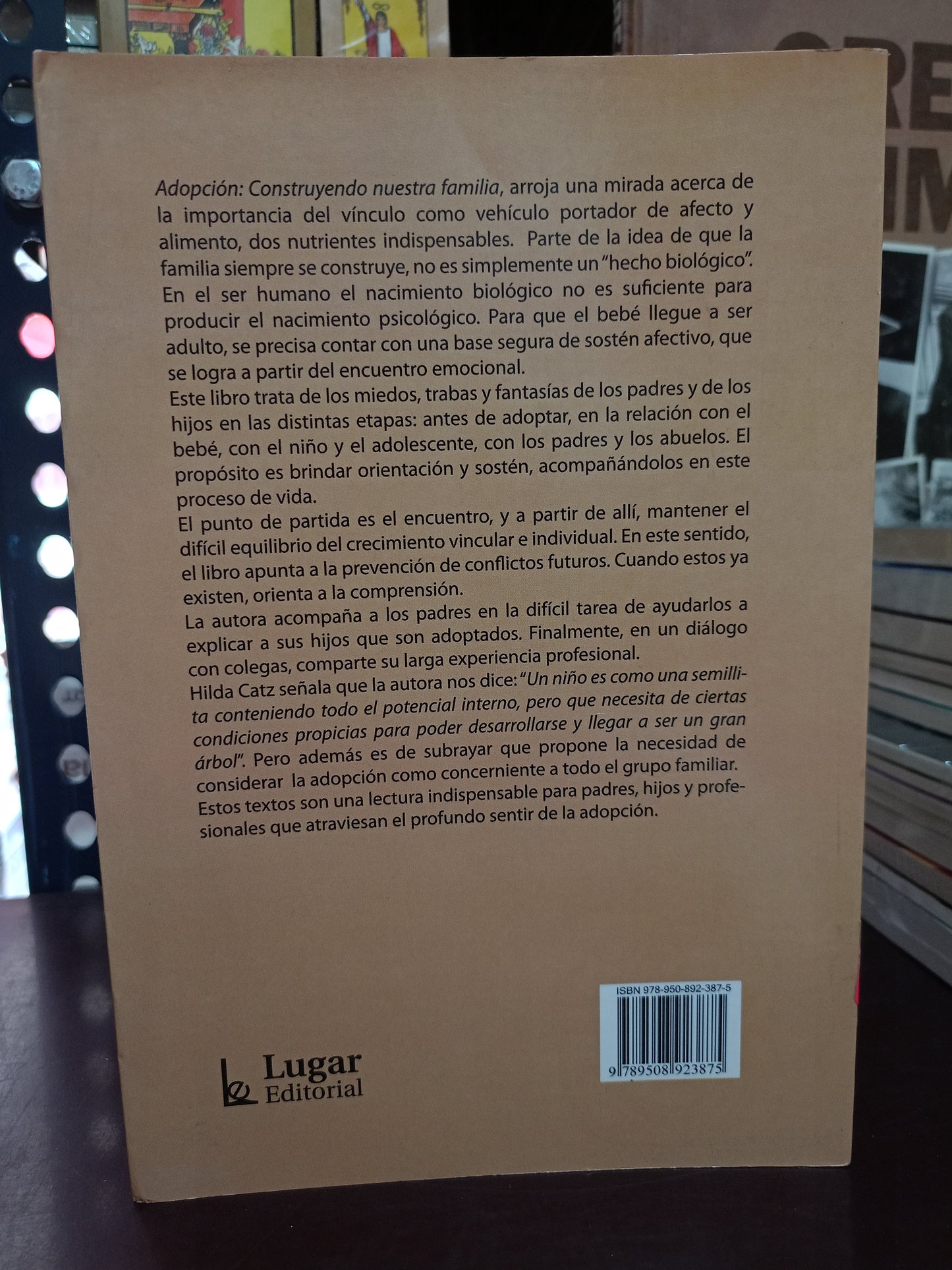 ADOPCIÓN: CONSTRUYENDO NUESTRA FAMILIA POR EVA ROTENBERG USADO PSICOLOGÍA LITERARIO 305