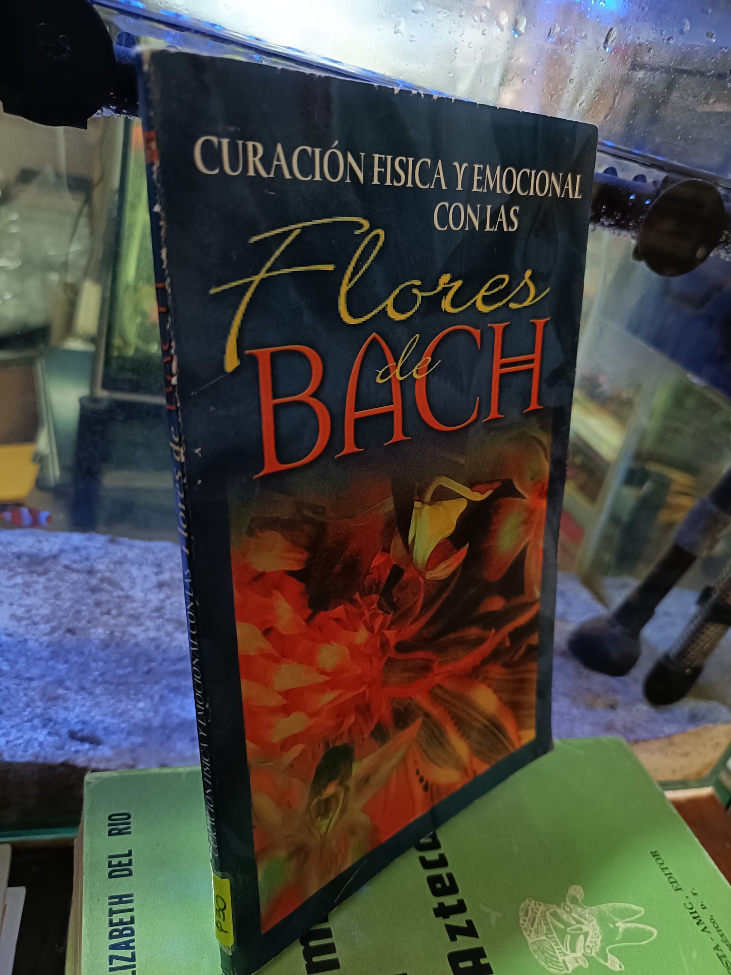 CURACION FISICA Y EMOCIONAL CON LAS FLORES DE BACH USADO SALUD ALDAMA