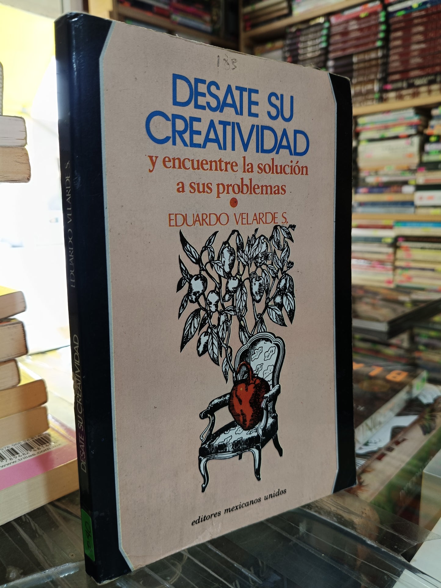 DESATE SU CREATIVIDAD POR EDUARDO VELARDE S. USADO S.PERSONAL JUÁREZ 507