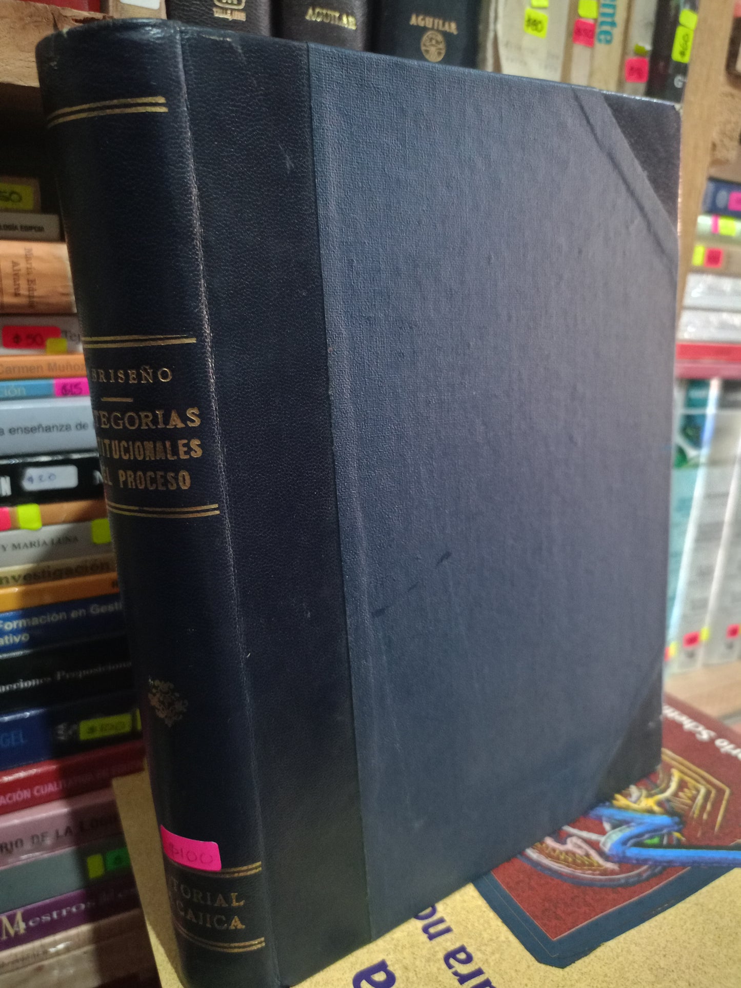 CATEGORIAS INSTITUCIONALES DEL PROCESO POR HUMBERTO BRISEÑO SIERRA USADO DERECHO LITERARIO 305