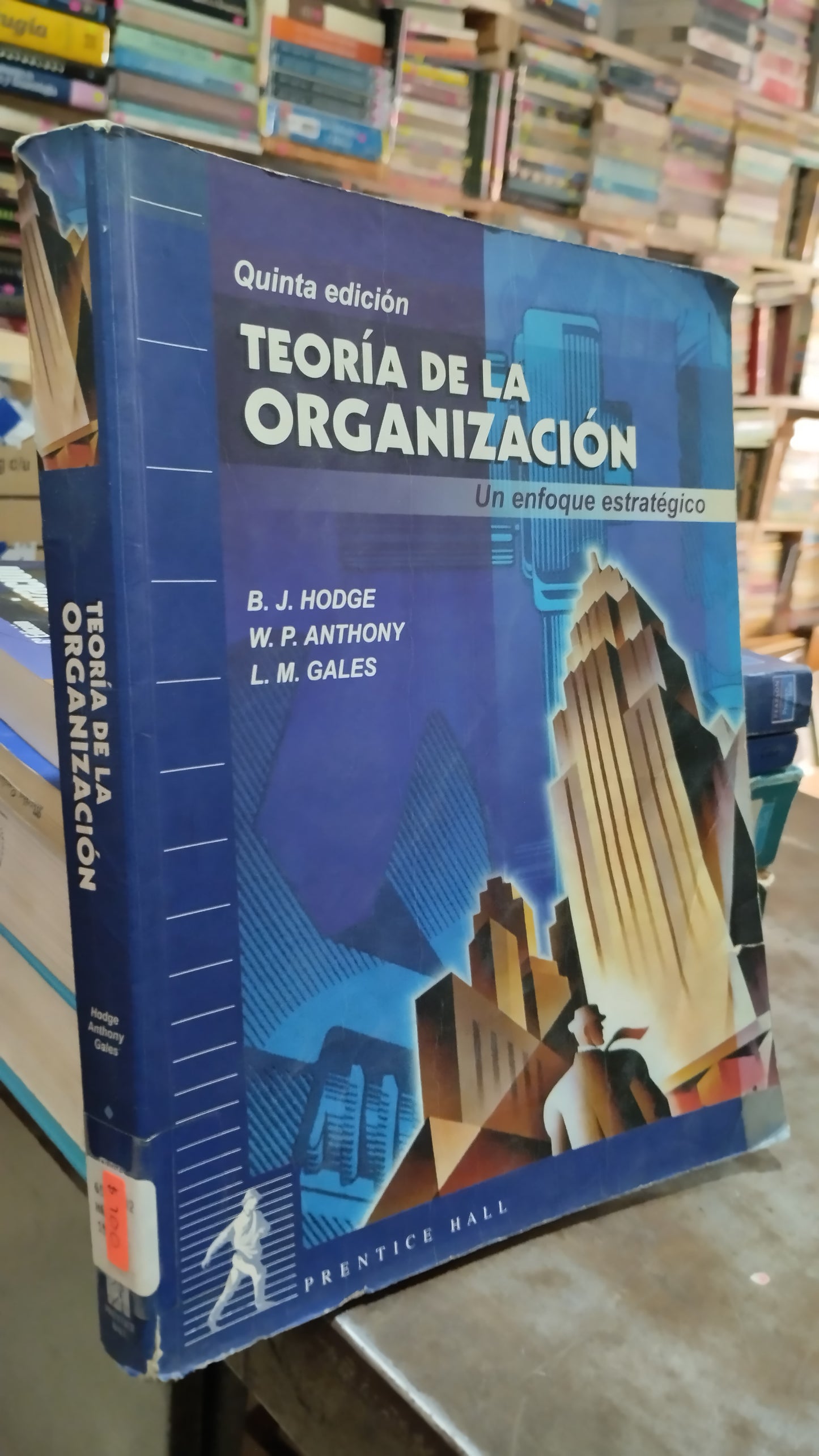 TEORIA DE LA ORGANIZACION POR B J HODGE LIBRO USADO ADMINISTRACION ALDAMA