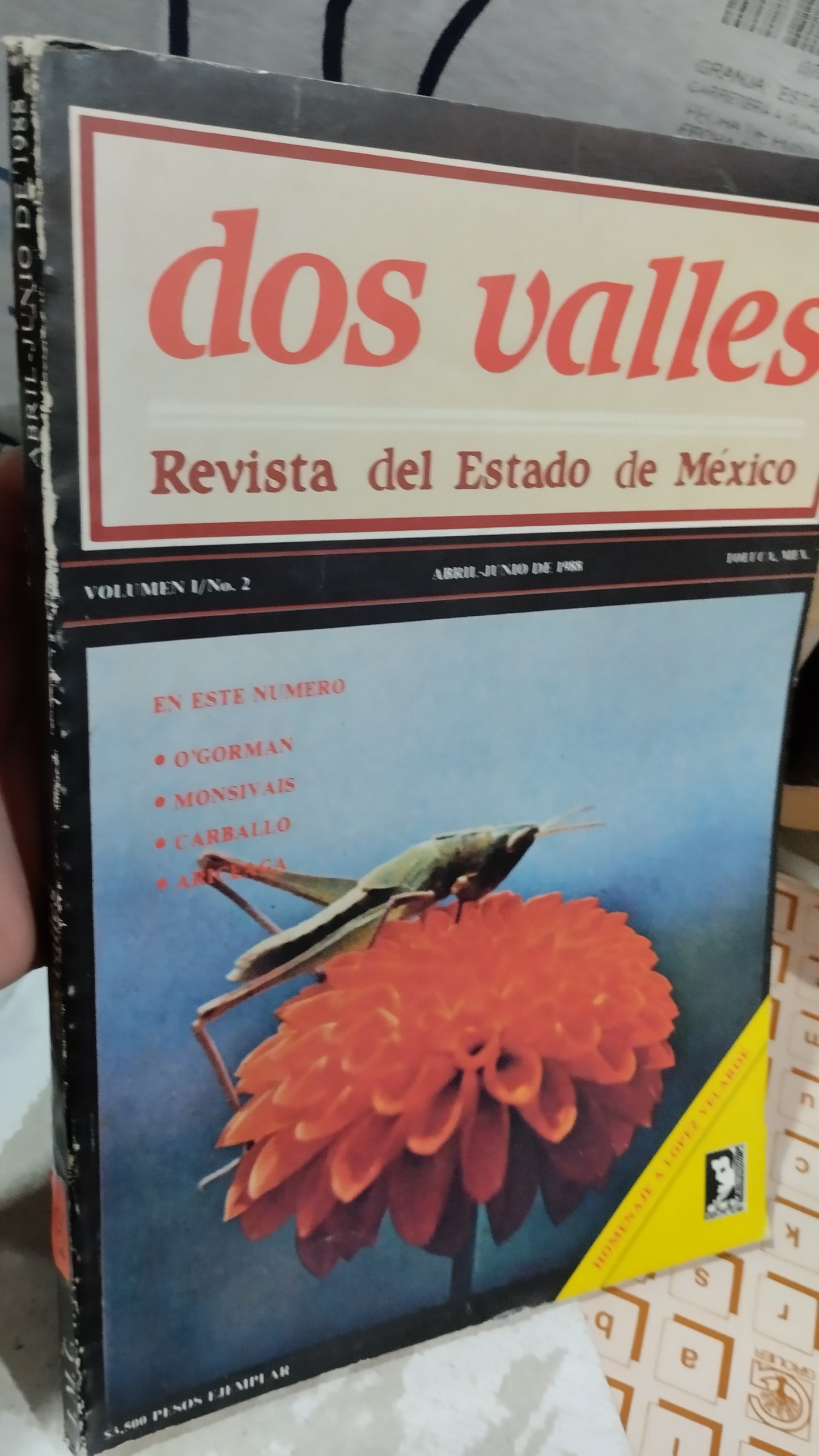 DOS VALLES REVISTA DEL ESTADO DE MEXICO LIBRO USADO ESTADO DE MEXICO ALDAMA