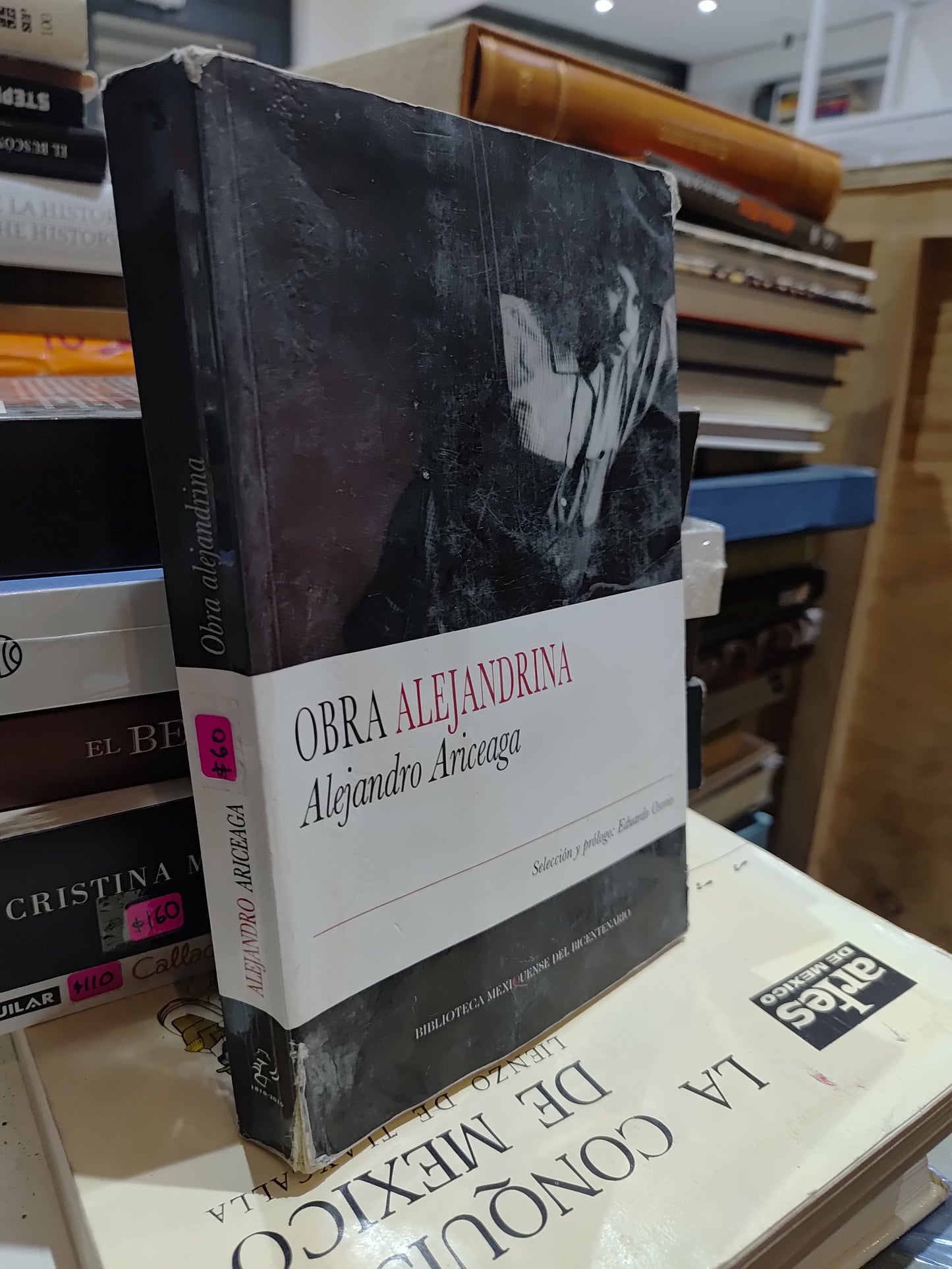 OBRA ALEJANDRINA POR ALEJANDRO ARICEAGA USADO NOVELAS JUAREZ 515