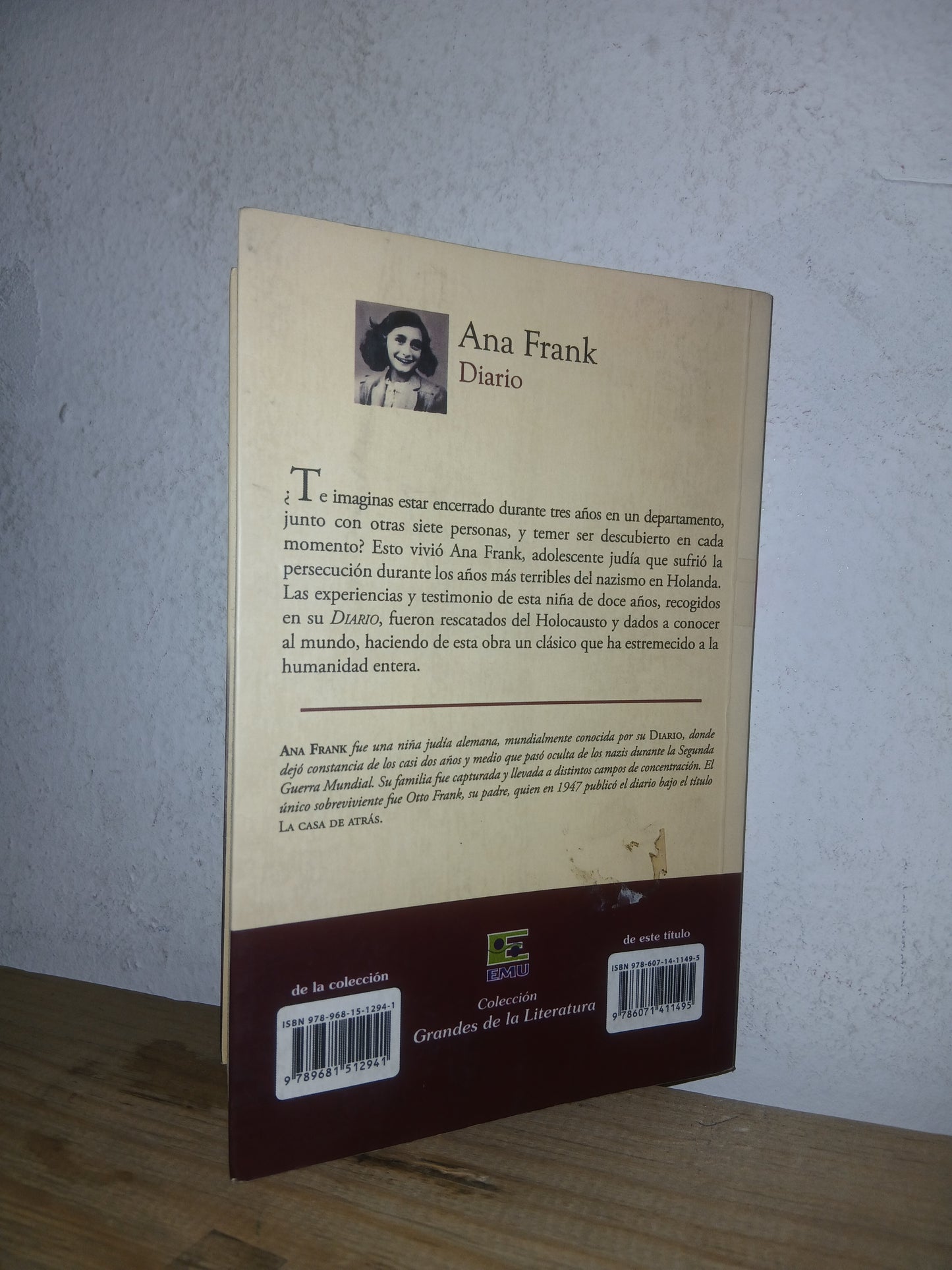 DIARIO DE ANA FRANK POR ANA FRANK USADO NOVELA LITERARIO 207