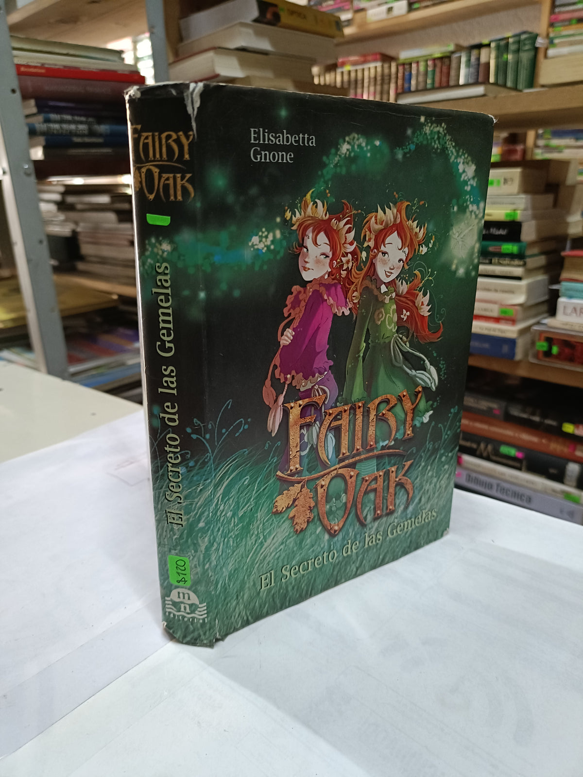 FAIRY OAK EL SECRETO DE LAS GEMELAS POR ELISABETTA GNONE USADO NOVELA LITERARIO 207