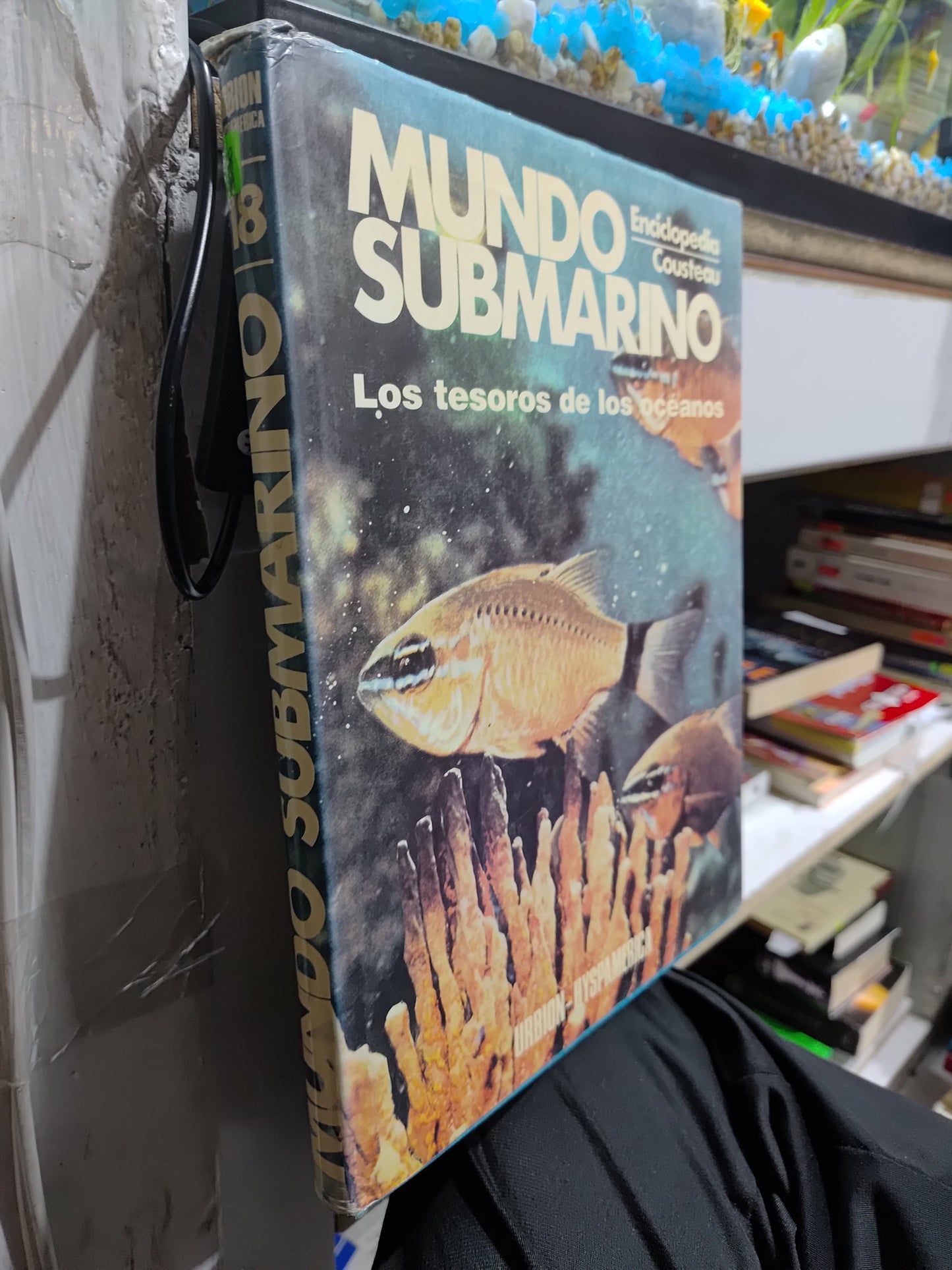 MUNDO SUBMARINO LOS TESOROS DE LOS OCEANOS TOMO 18 POR EDITORIAL URBION USADO ENCICLOEPDIA JUAREZ