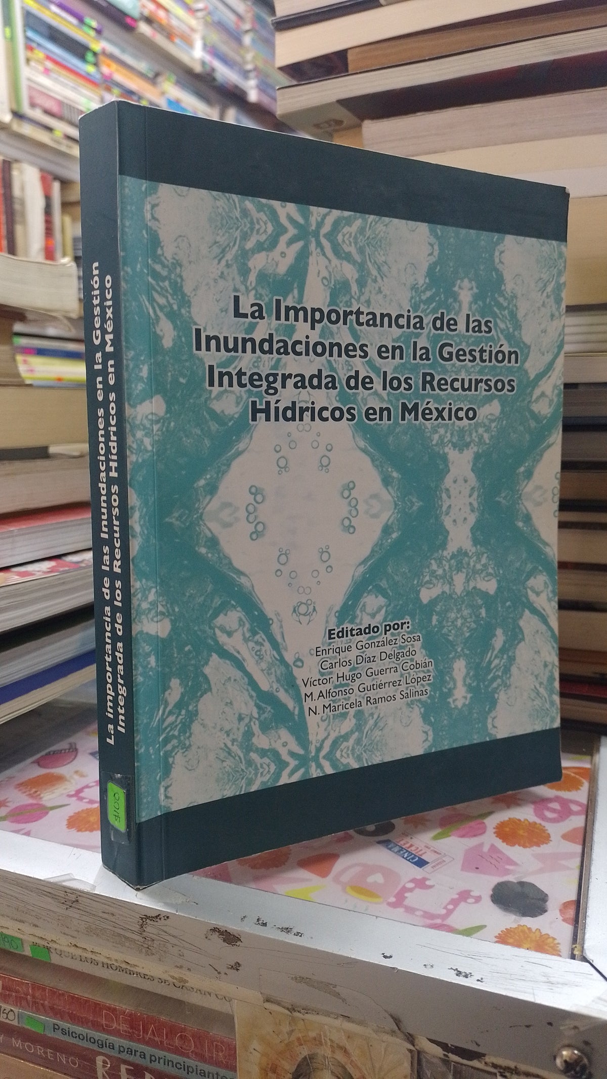 LA IMPORTANCIA DE LAS INUNDACIONES EN LA GESTION INTEGRADA DE LOS RECURSOS HIDRICOS EN MEXICO POR VARIOS AUTORES USADO GEOGRAFIA JUAREZ 507