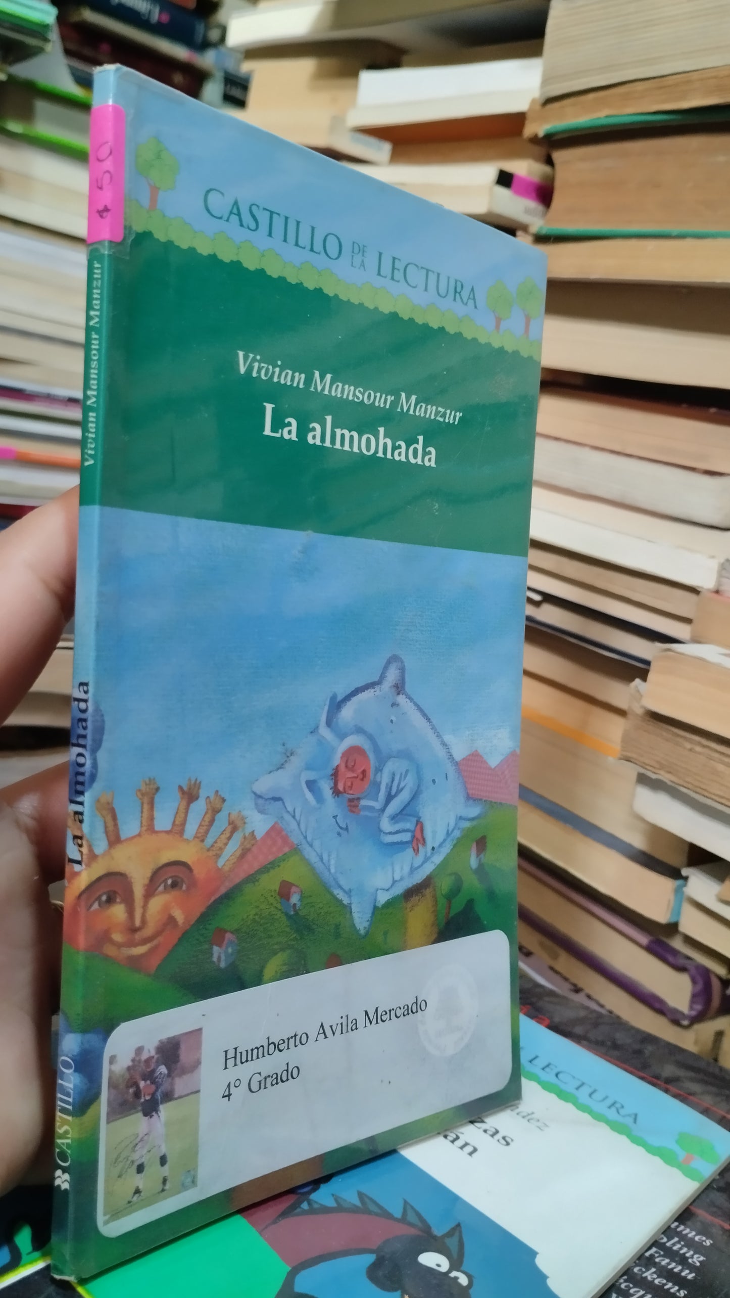 LA ALMOHADA POR VIVIAN MANSOUR MANZAR LIBRO USADO INFANTIL ALDAMA