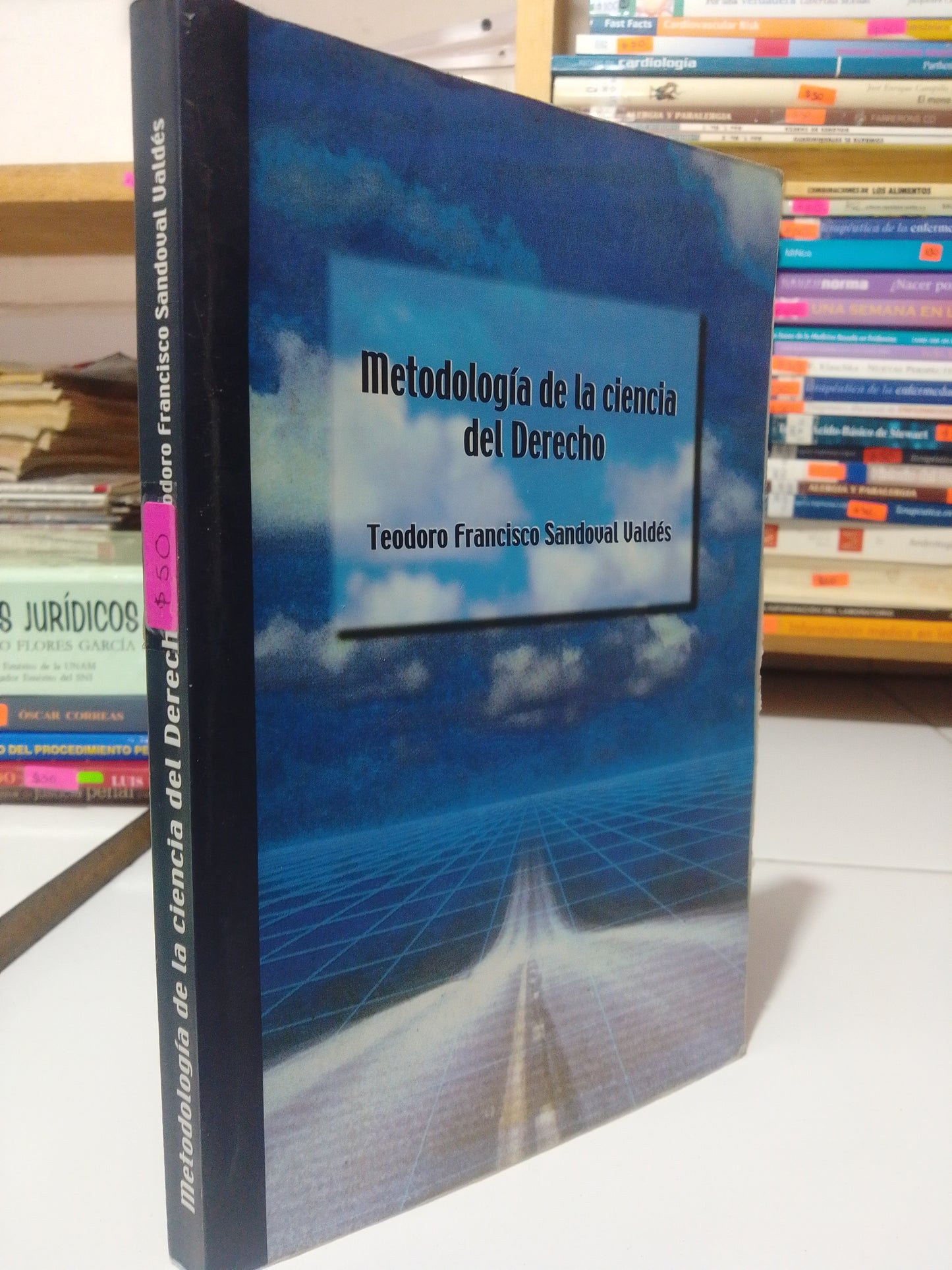METODOLOGIA DE LA CIENCIA DEL DERECHO POR TEODORO FRANCISCO SANDOVAL USADO DERECHO JUAREZ