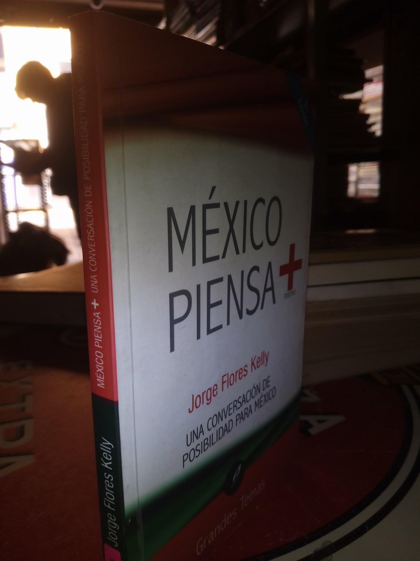 MEXICO PIENSA MAS POSITIVO POR JORGE FLORES KELLY USADO POLÍTICA LITERARIO 207