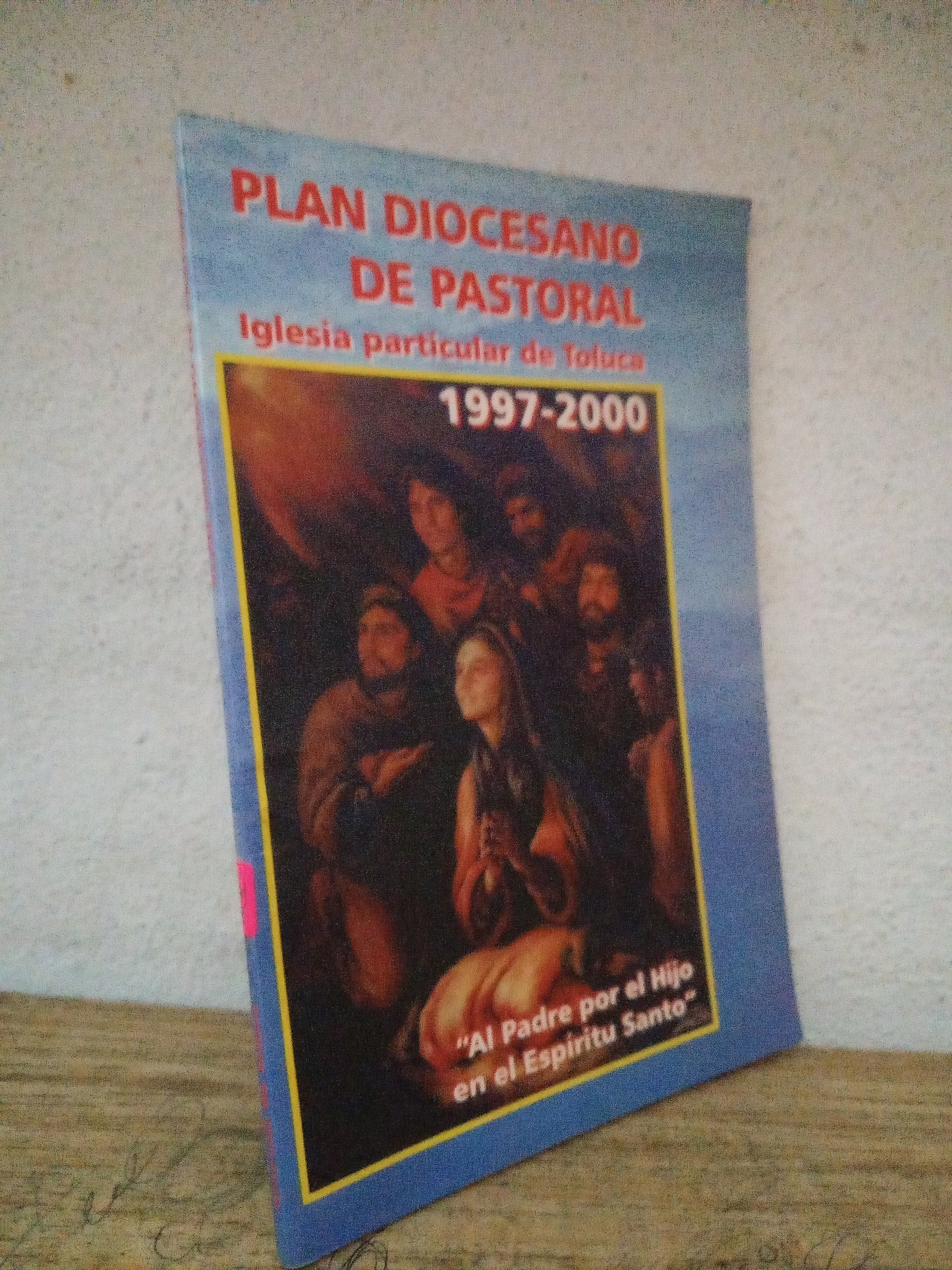 PLAN DIOCESANO DE PASTORAL USADO RELIGION LITERARIO 305