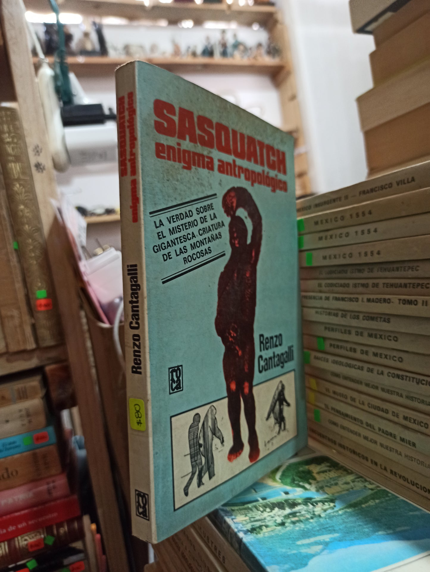 SASQUATCH POR RENZO CANTAGALLI USADO HISTORIA ALDAMA