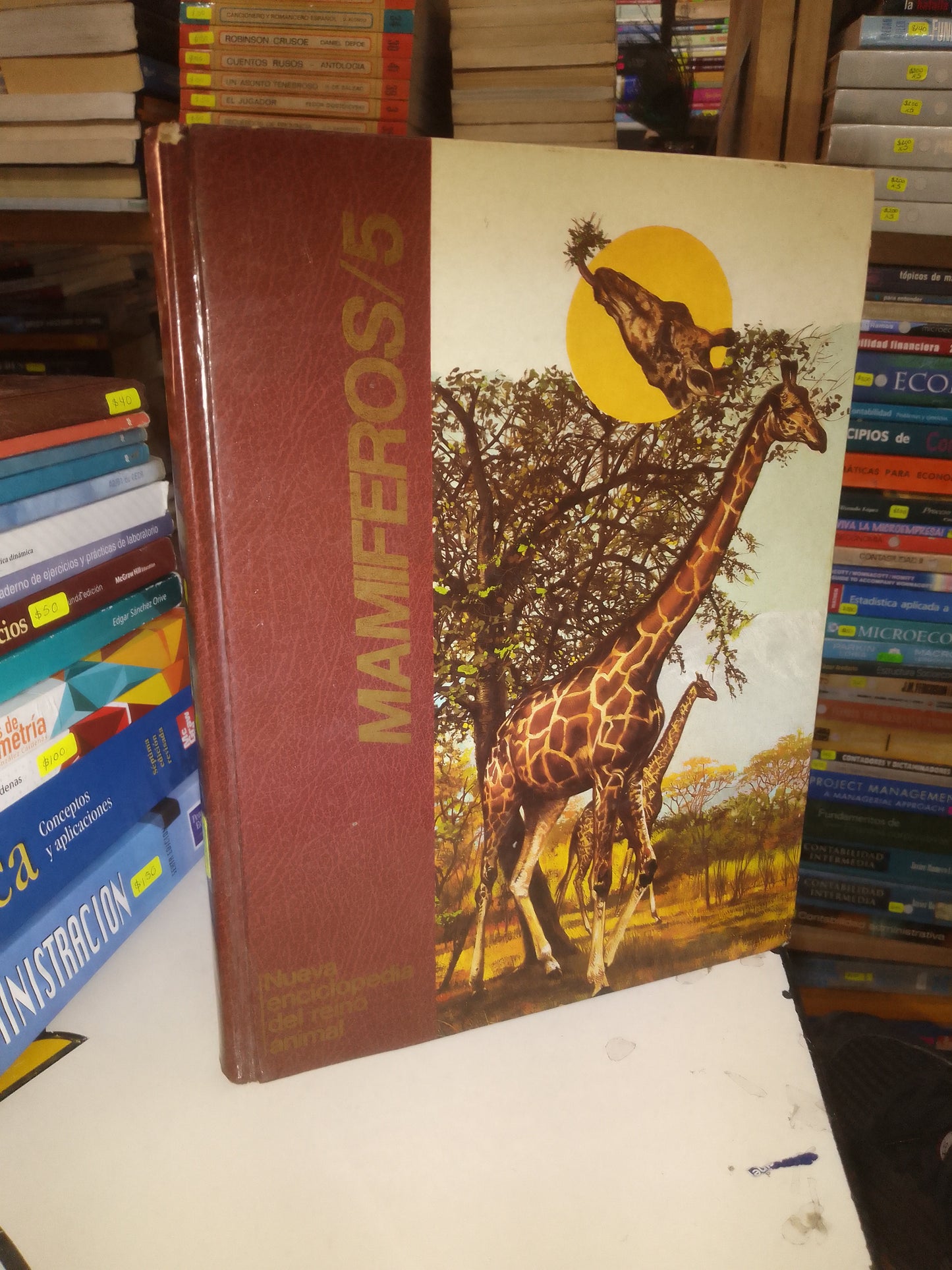 NUEVA ENCICLOPEDIA DEL REINO ANIMAL MAMÍFEROS/5 USADO BIOLOGIA LITERARIO 207